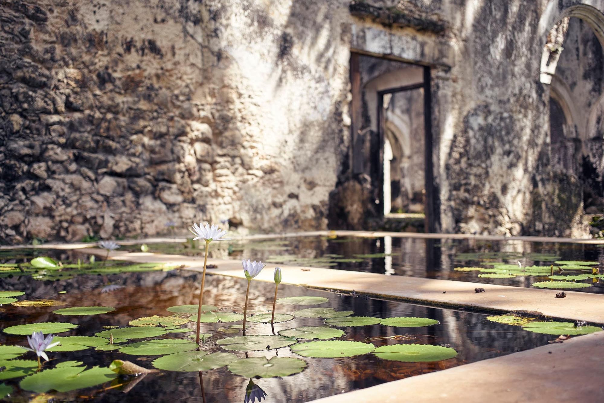 Hacienda Uayamon, General view