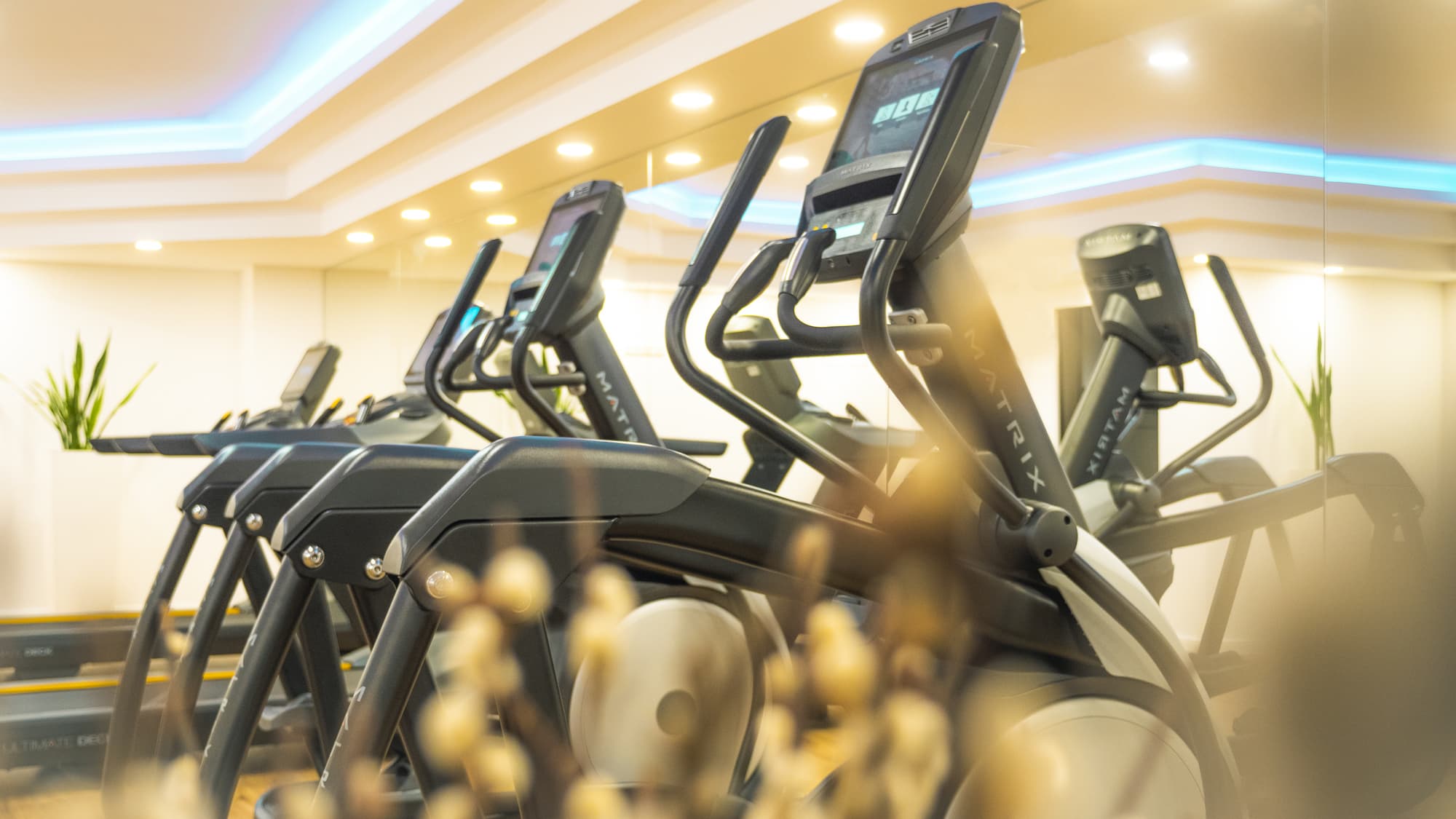 Steigenberger Hotel Köln, Sports and Entertainment