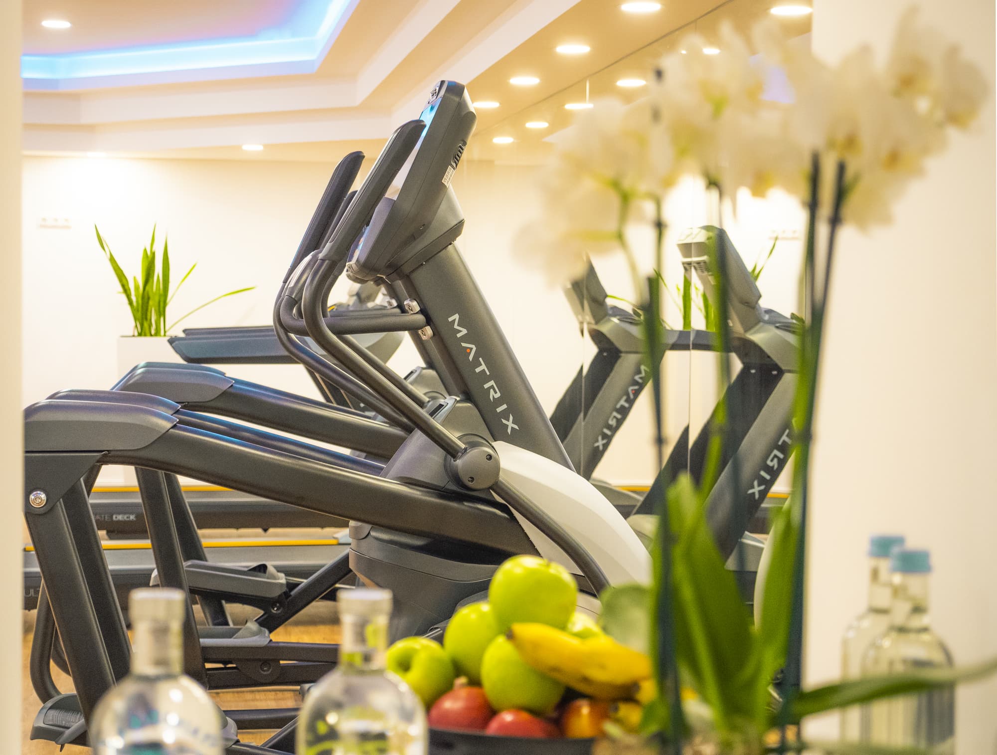 Steigenberger Hotel Köln, Sports and Entertainment