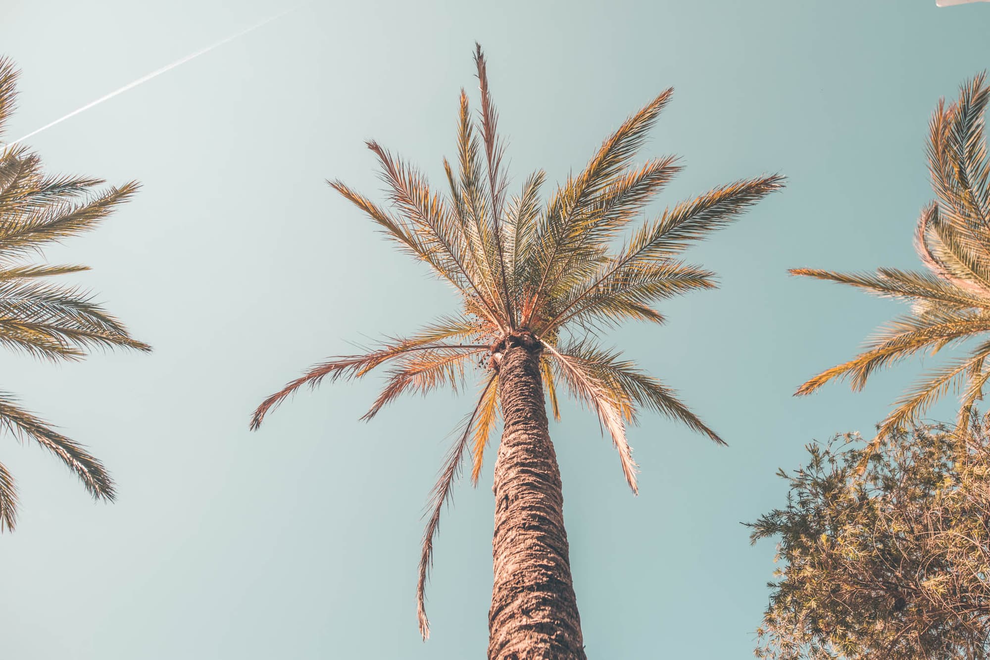 Ibiza Rocks Hotel, Beach