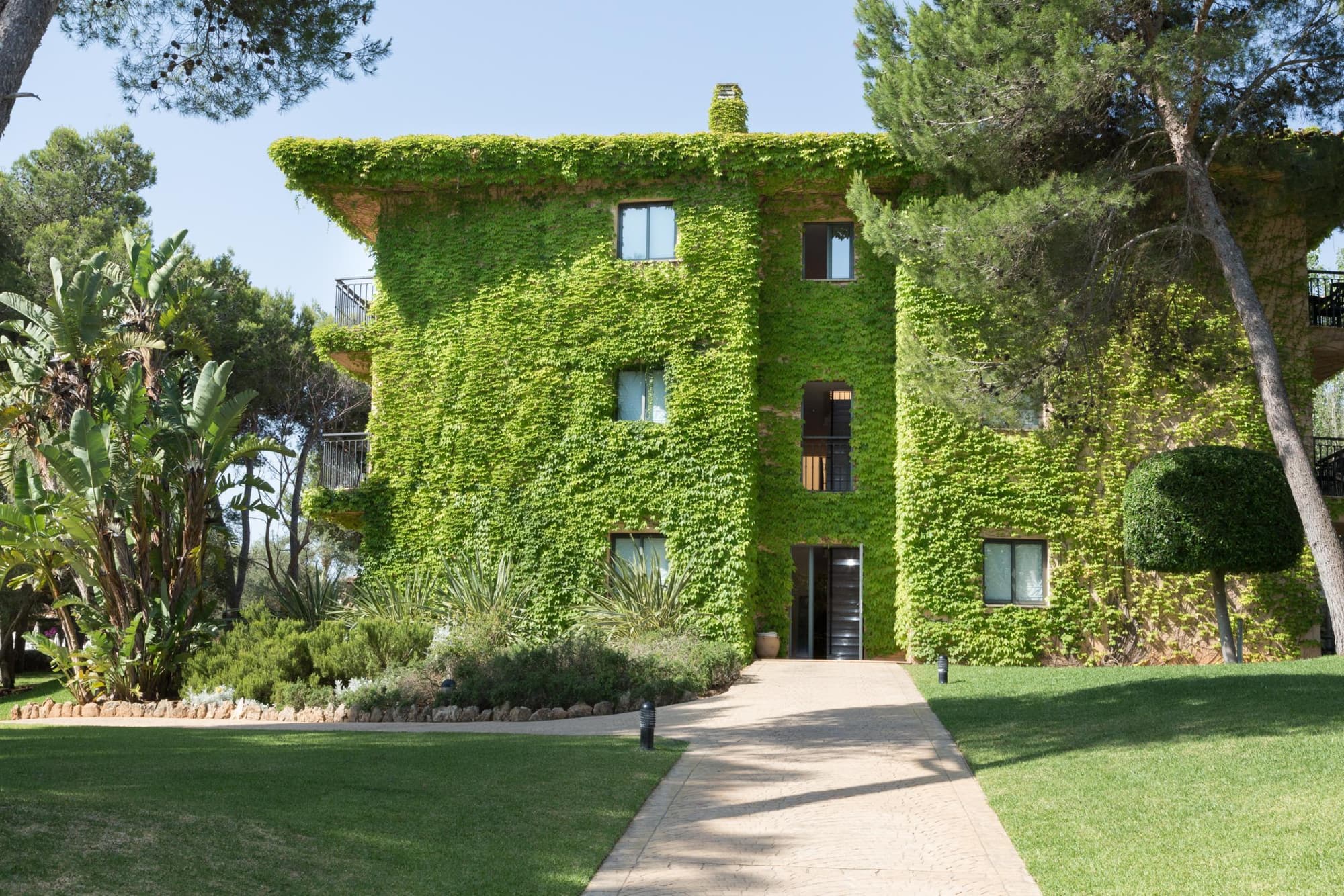 FERGUS Club Vell Marí, General view