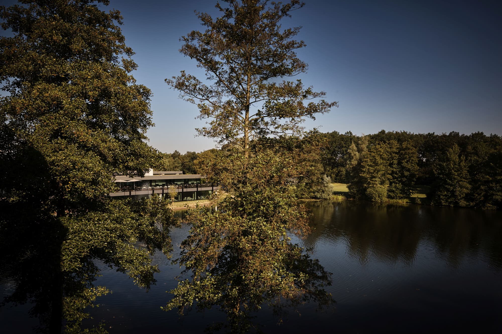 Hilton Frankfurt Gravenbruch, General view