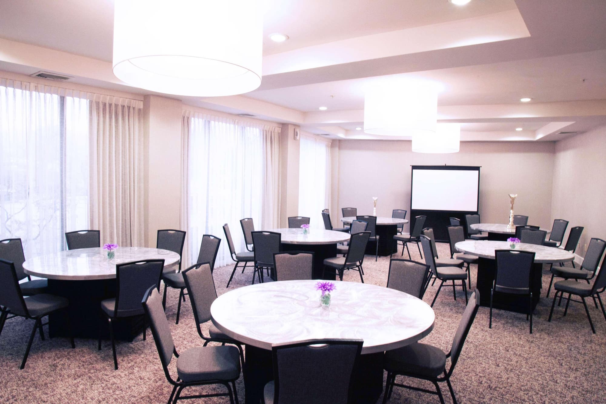 The Brookhaven Atlanta Hotel, Conferences