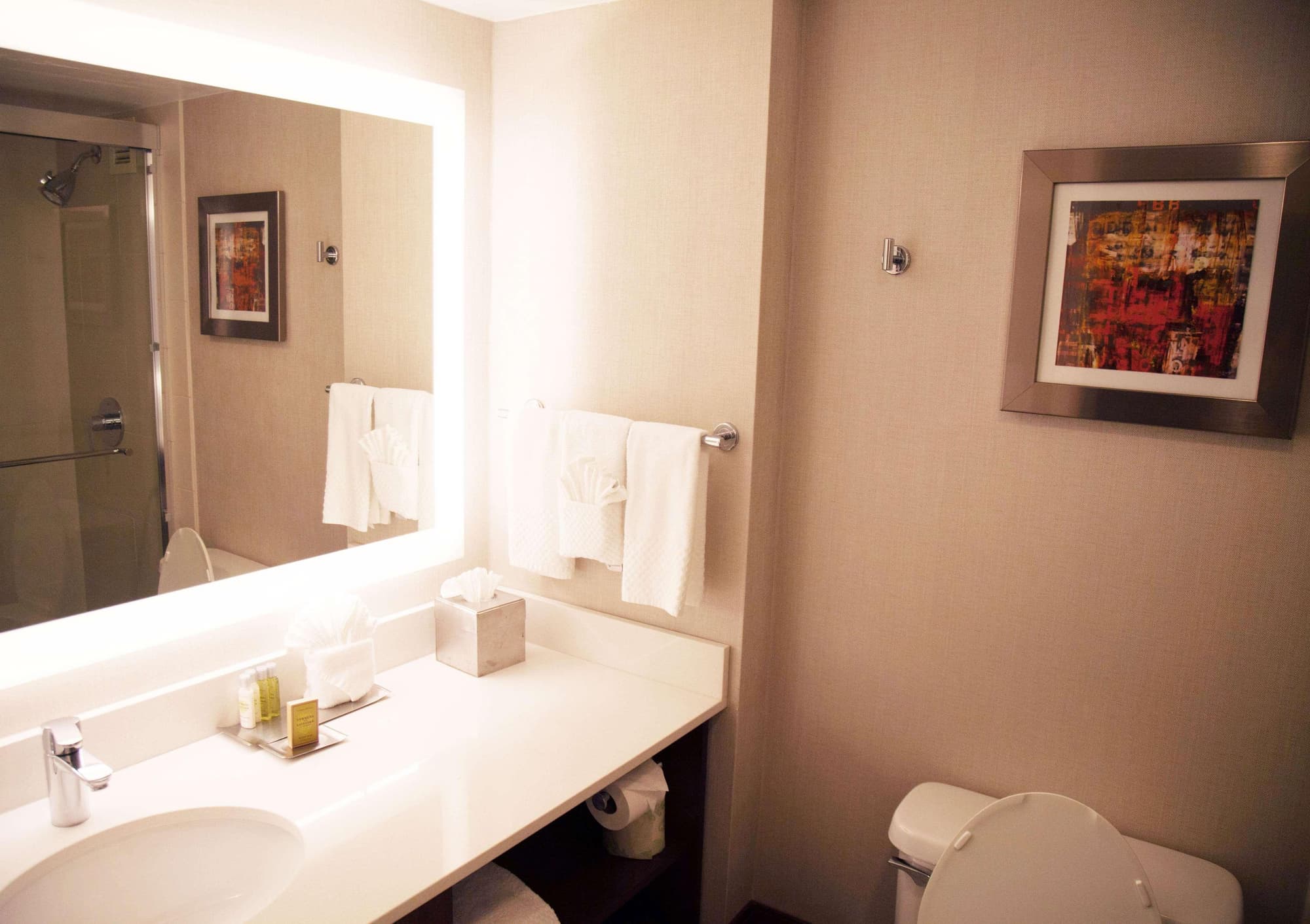 The Brookhaven Atlanta Hotel, Room