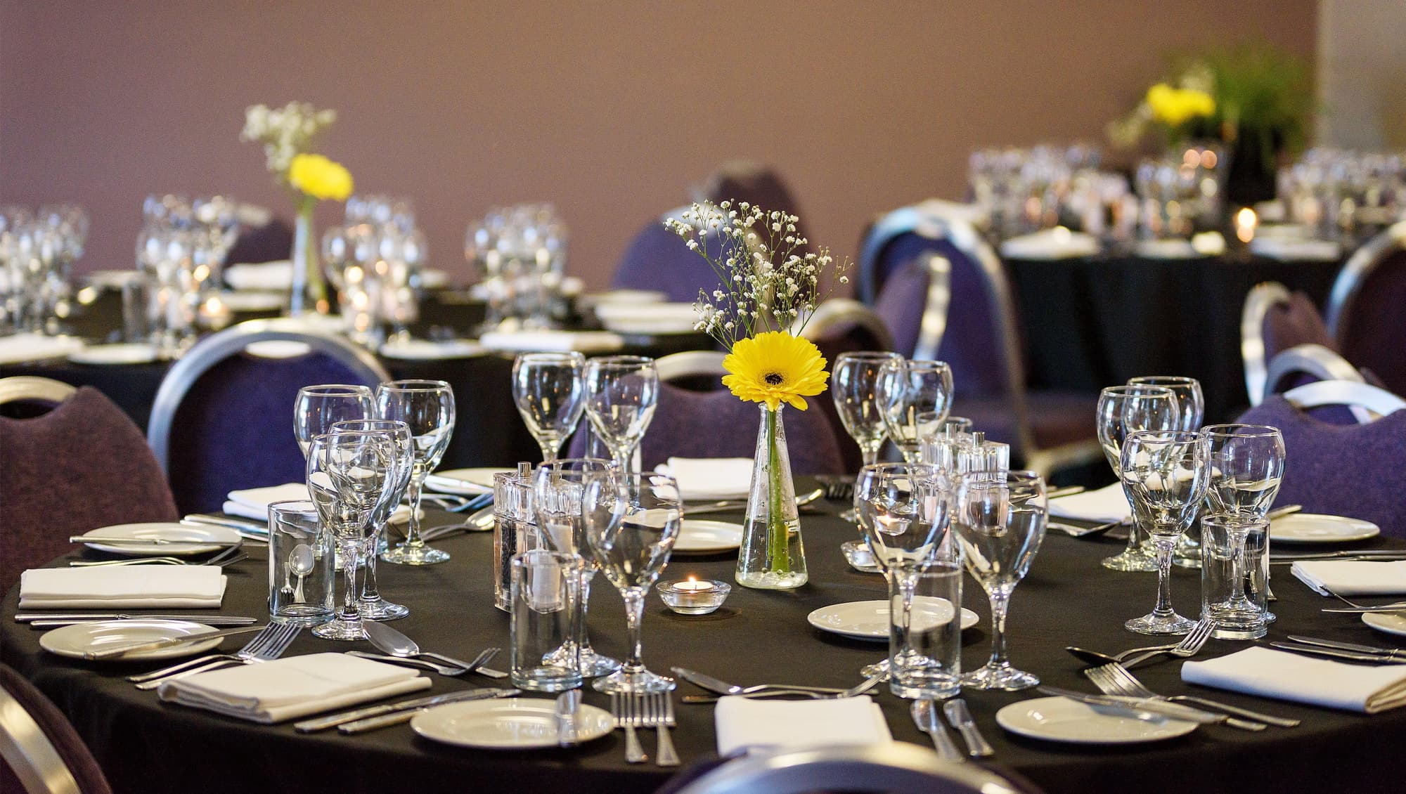 Holiday Inn London Brent Cross, Conferences