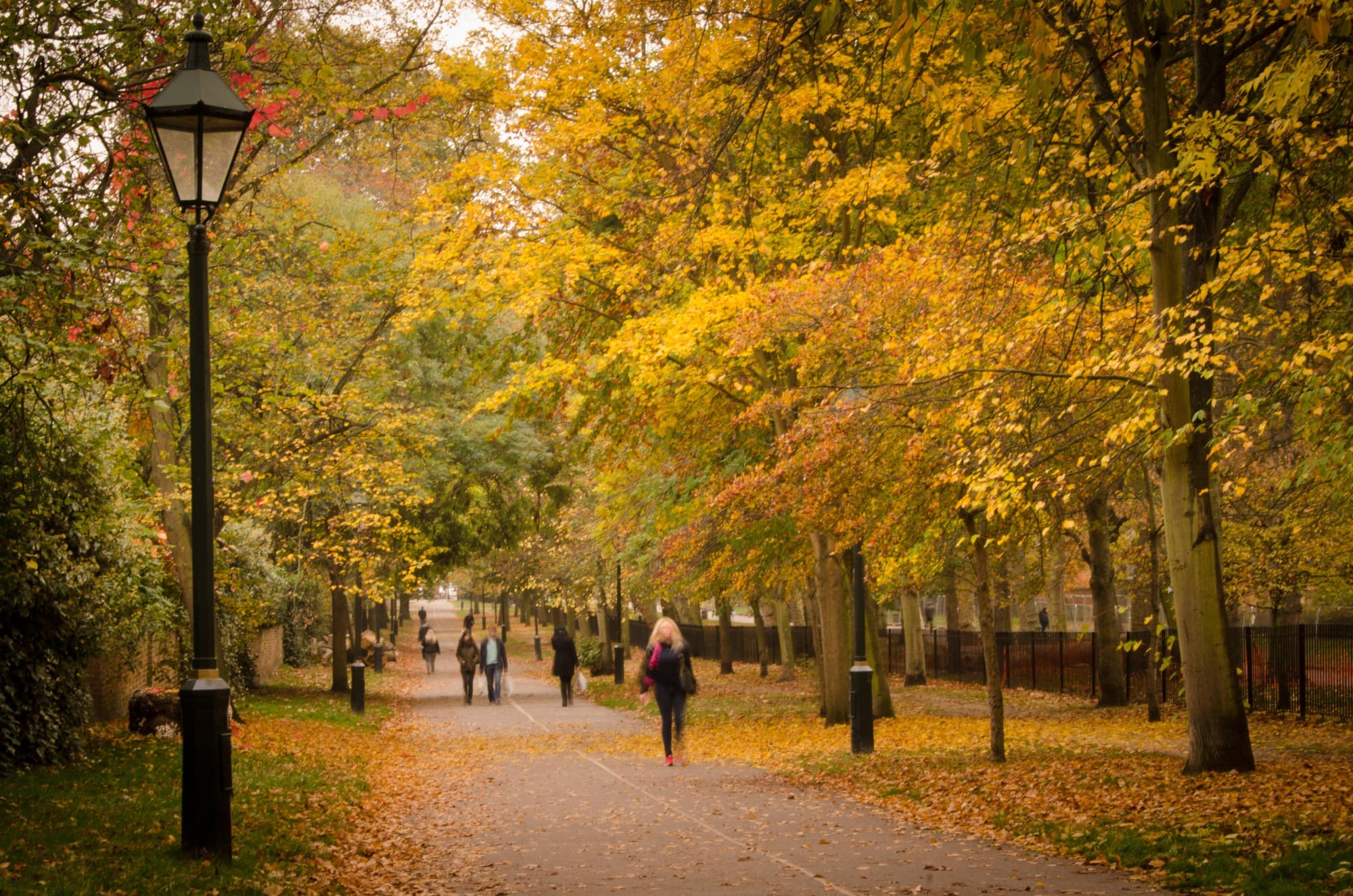 Holiday Inn London Brent Cross, General view