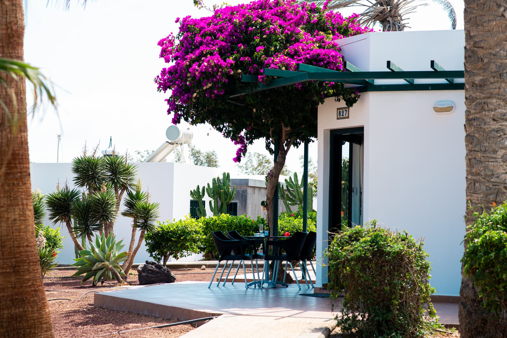 HL Club Playa Blanca, Room