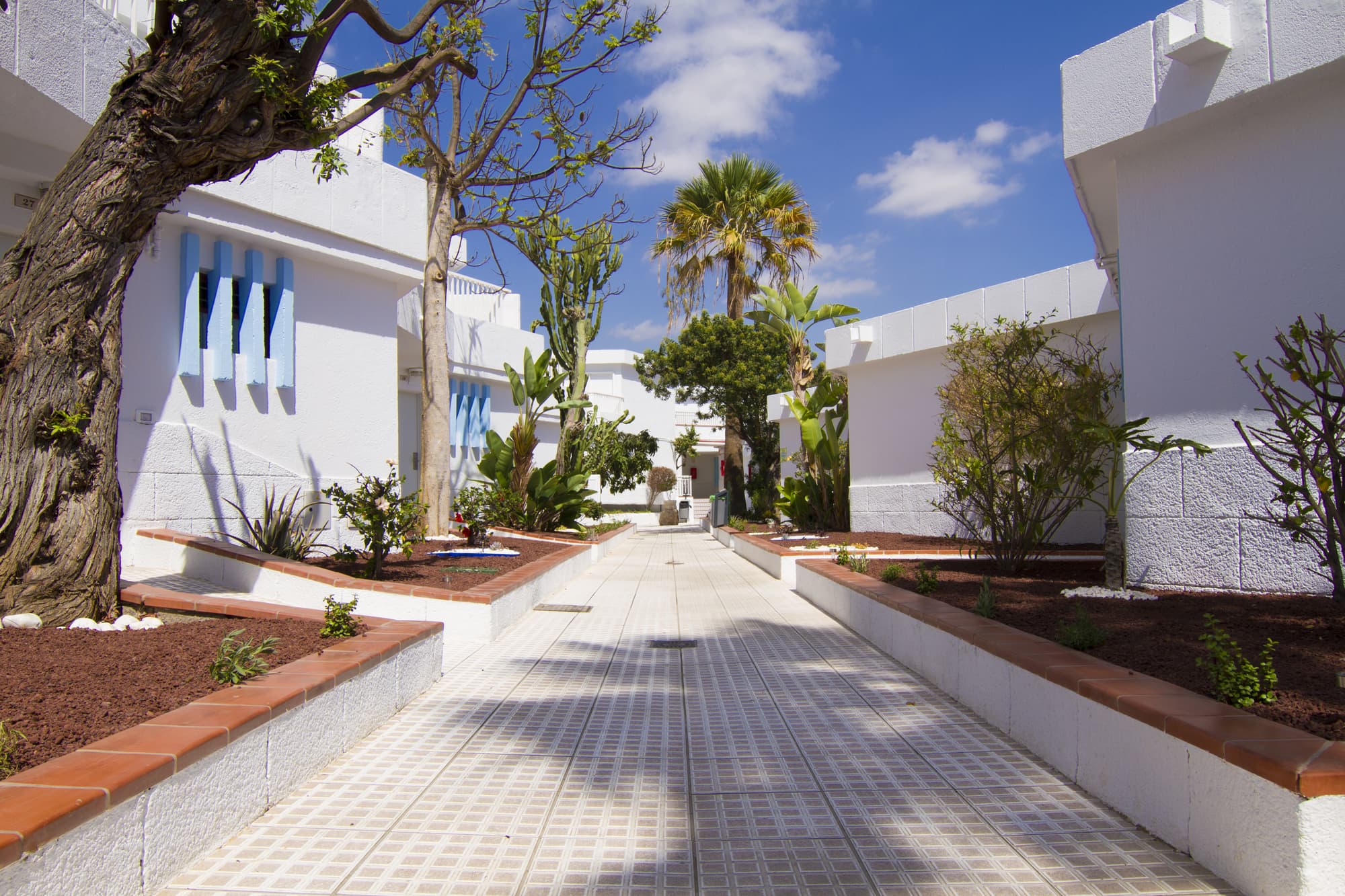 Checkin Bungalows Atlantida, General view