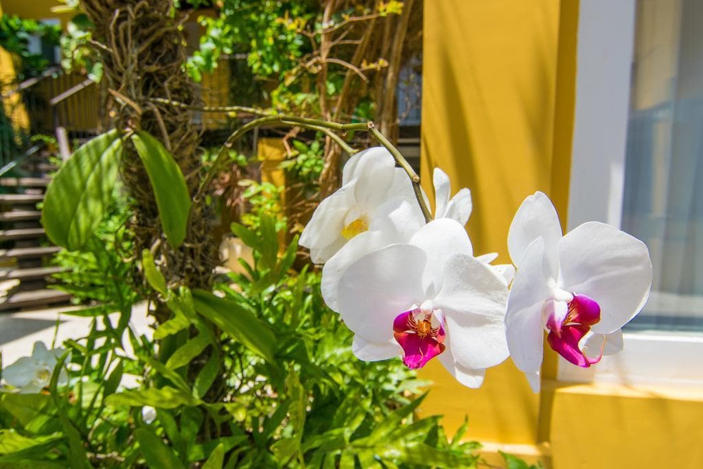 Pousada La Chimere, General view