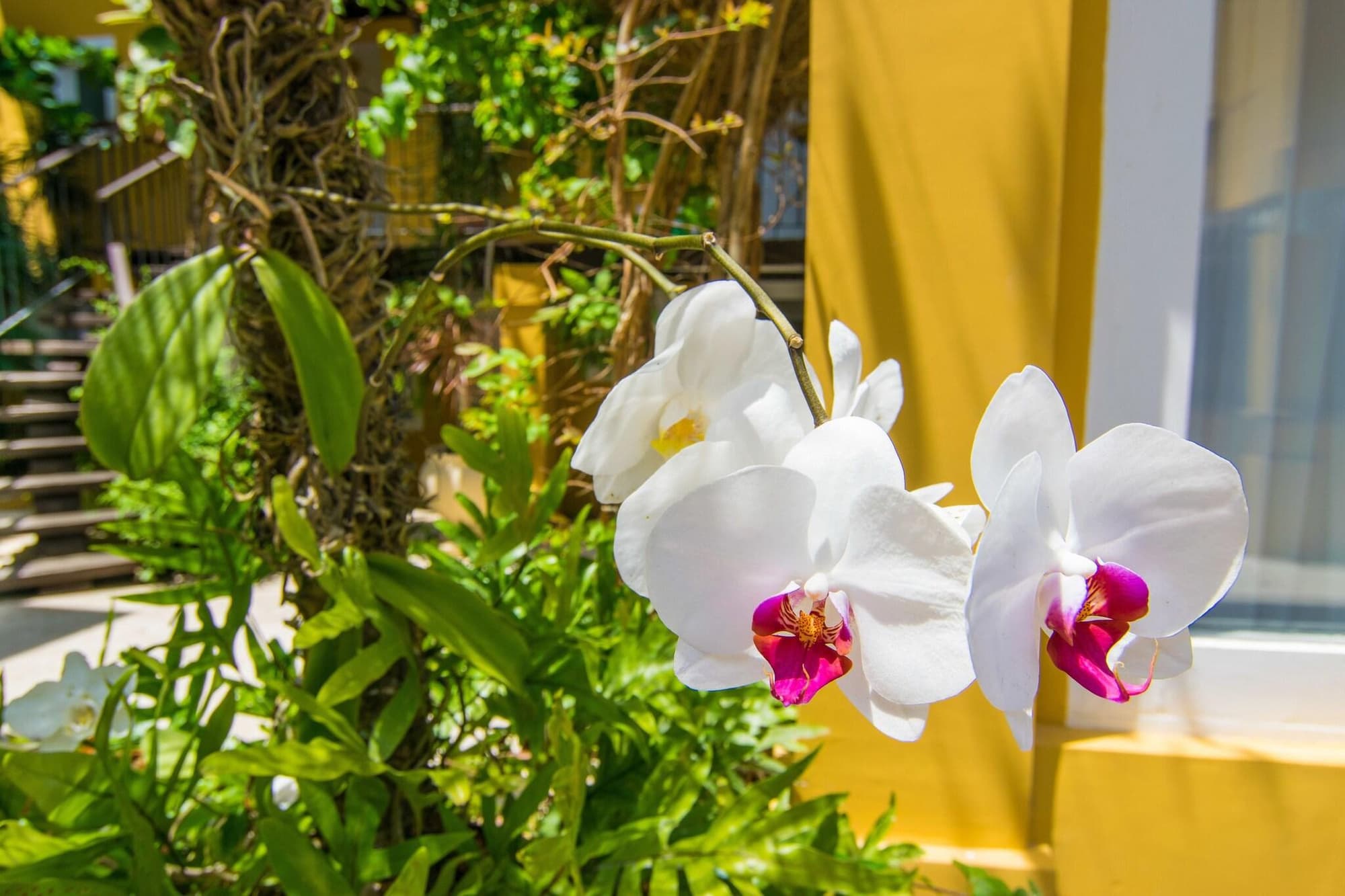 Pousada La Chimere, Lobby