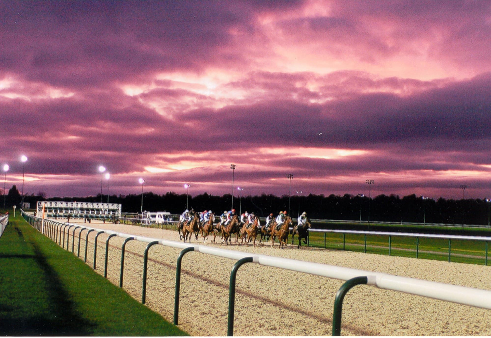 Holiday Inn Wolverhampton - Racecourse, General view