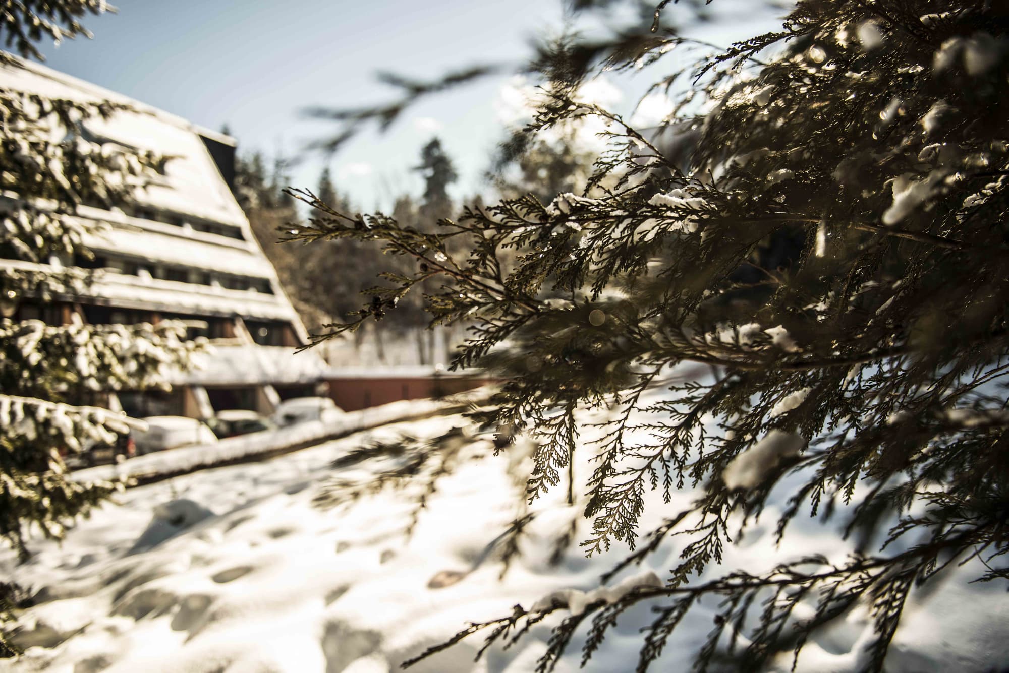 Hotel Moura, General view