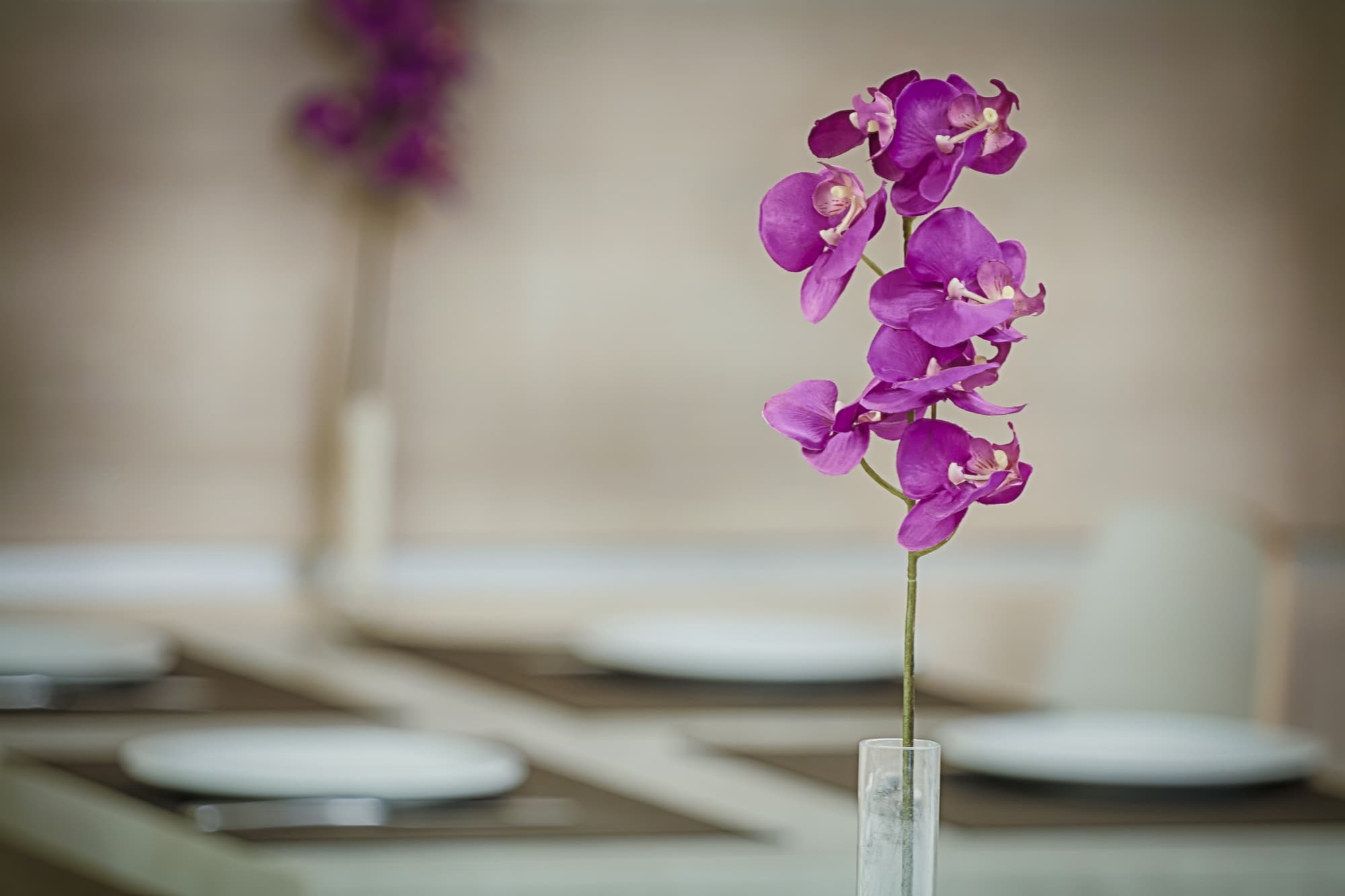 Raganelli, Restaurant