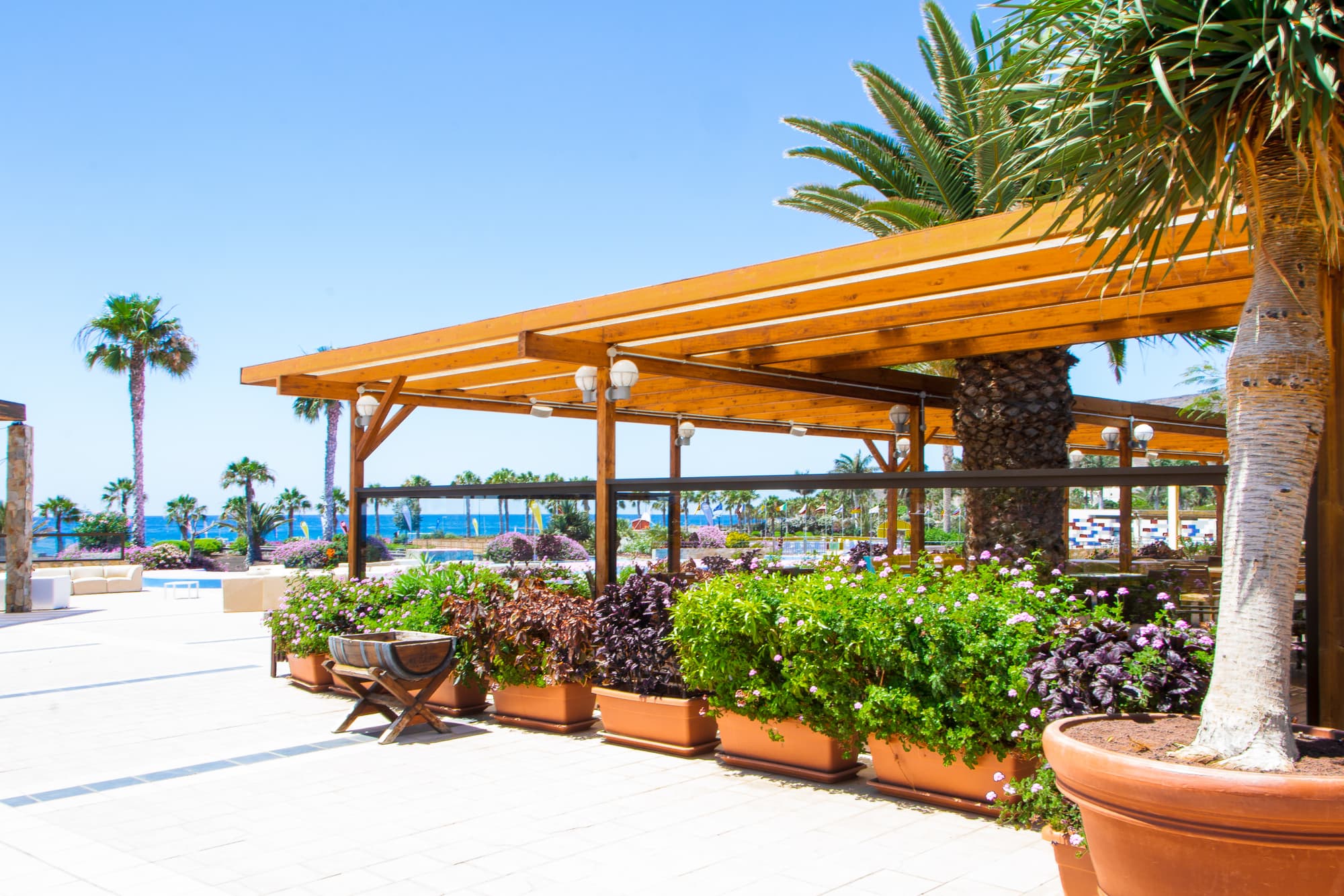 Playitas Aparthotel, Terrace