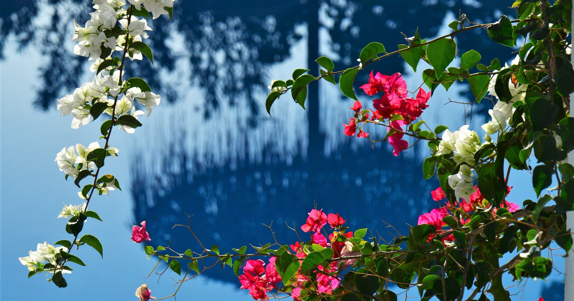 Artemis Santorini, Pool