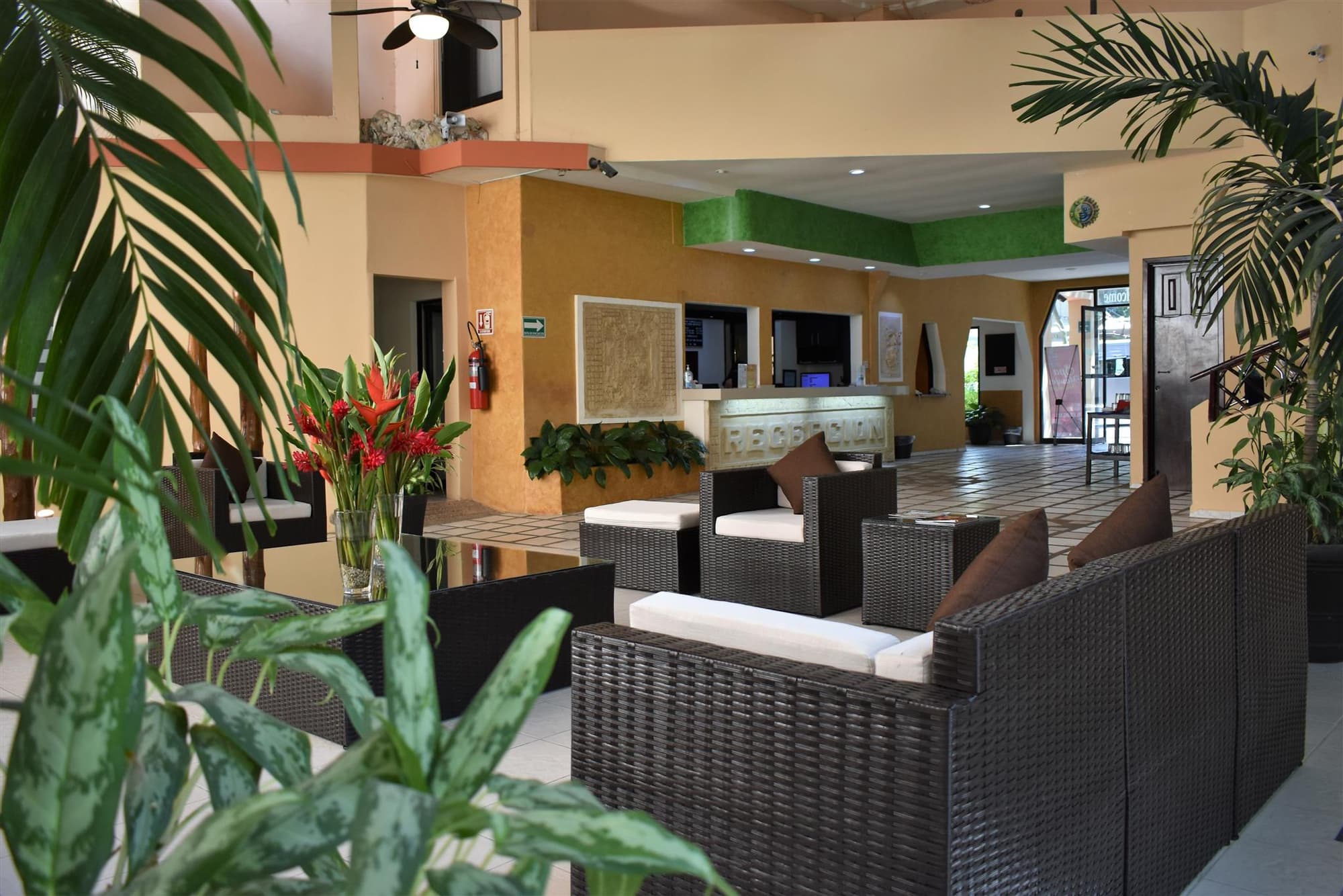 Maya Tulipanes, Terrace