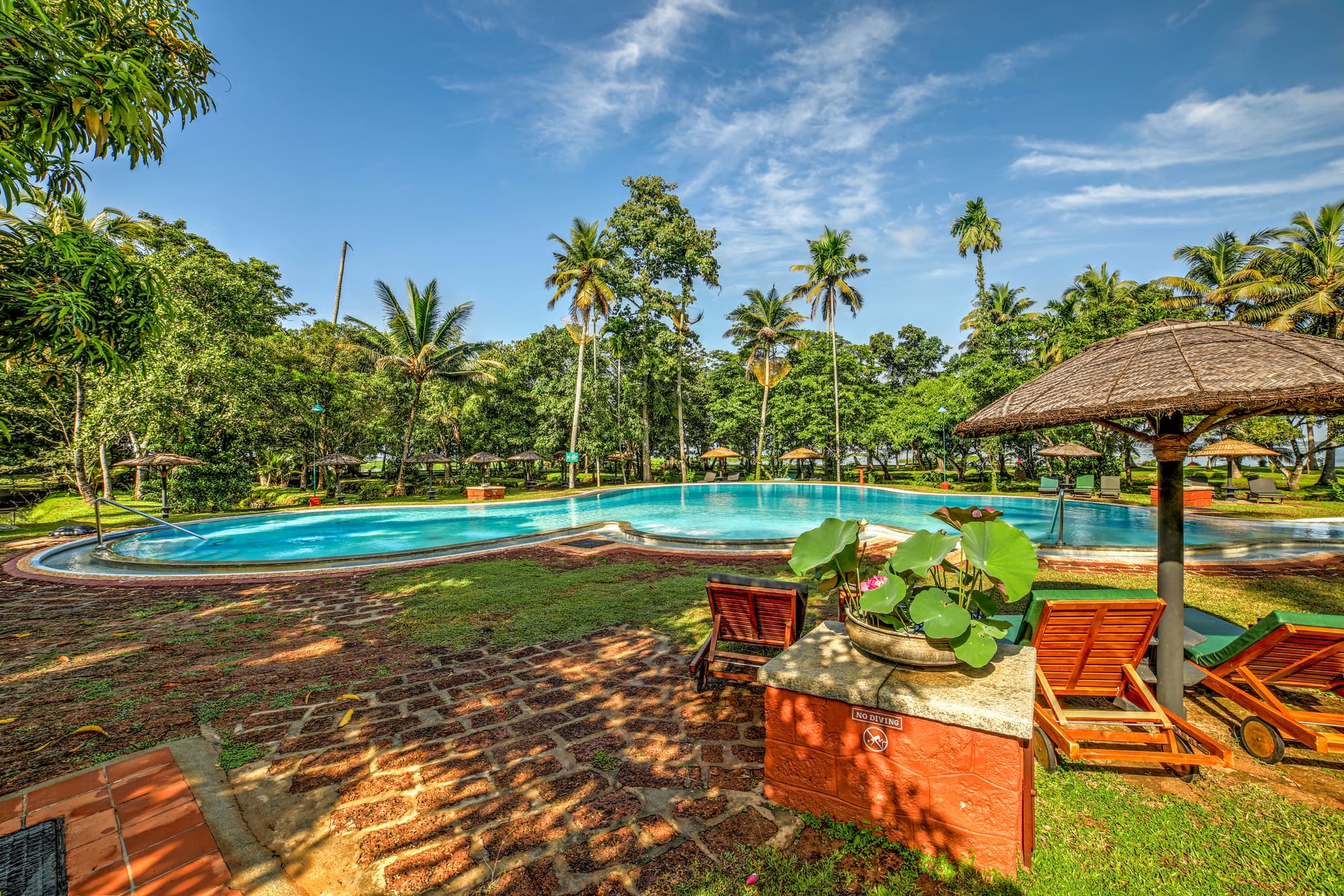 Coconut Lagoon, Pool