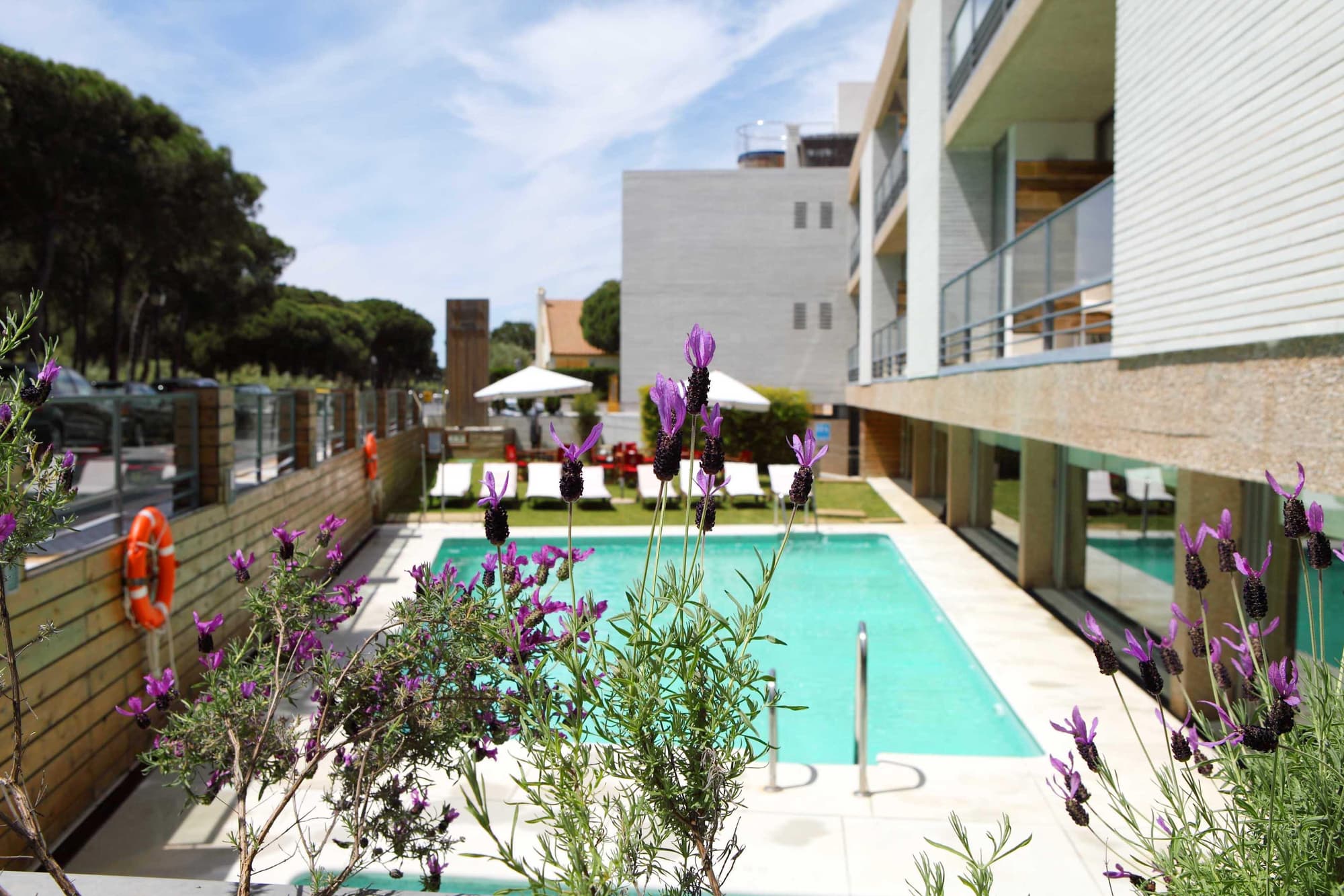 On Family Islantilla, General view