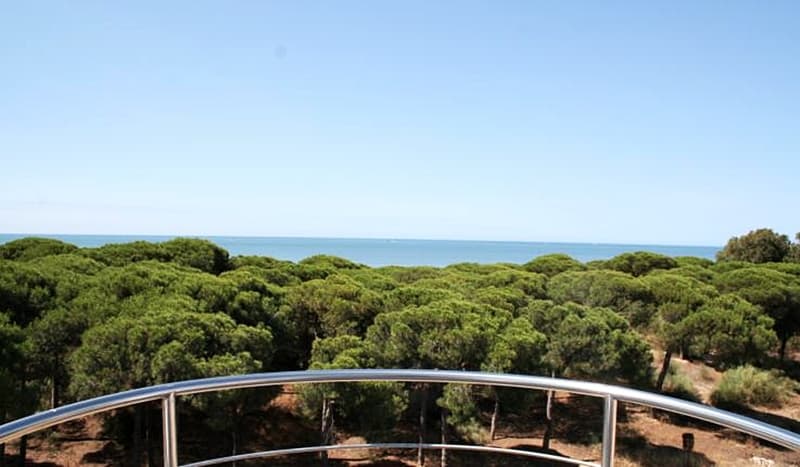 On Family Islantilla, General view