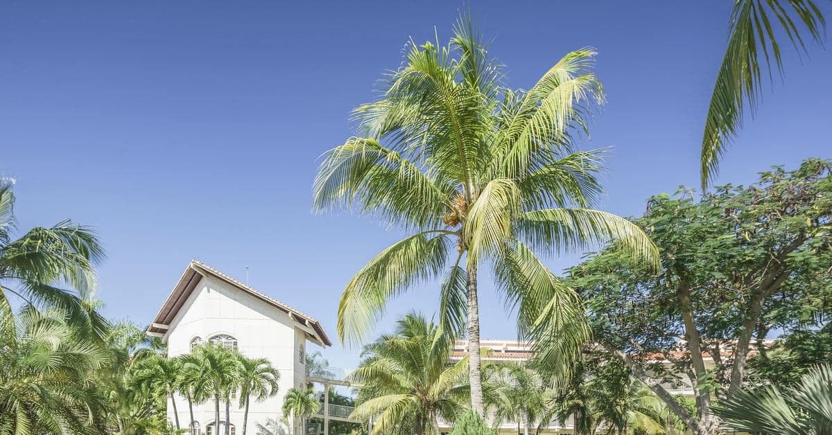Sol Rio De Luna y Mares, General view