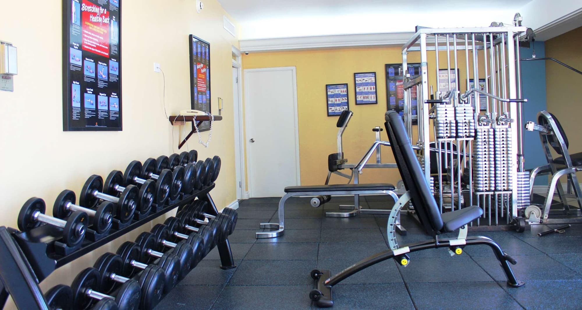 Jamaica Pegasus, Sports and Entertainment