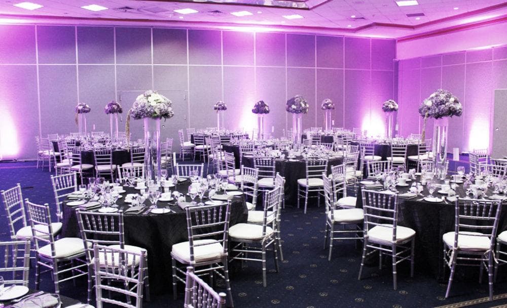 Jamaica Pegasus, Conferences