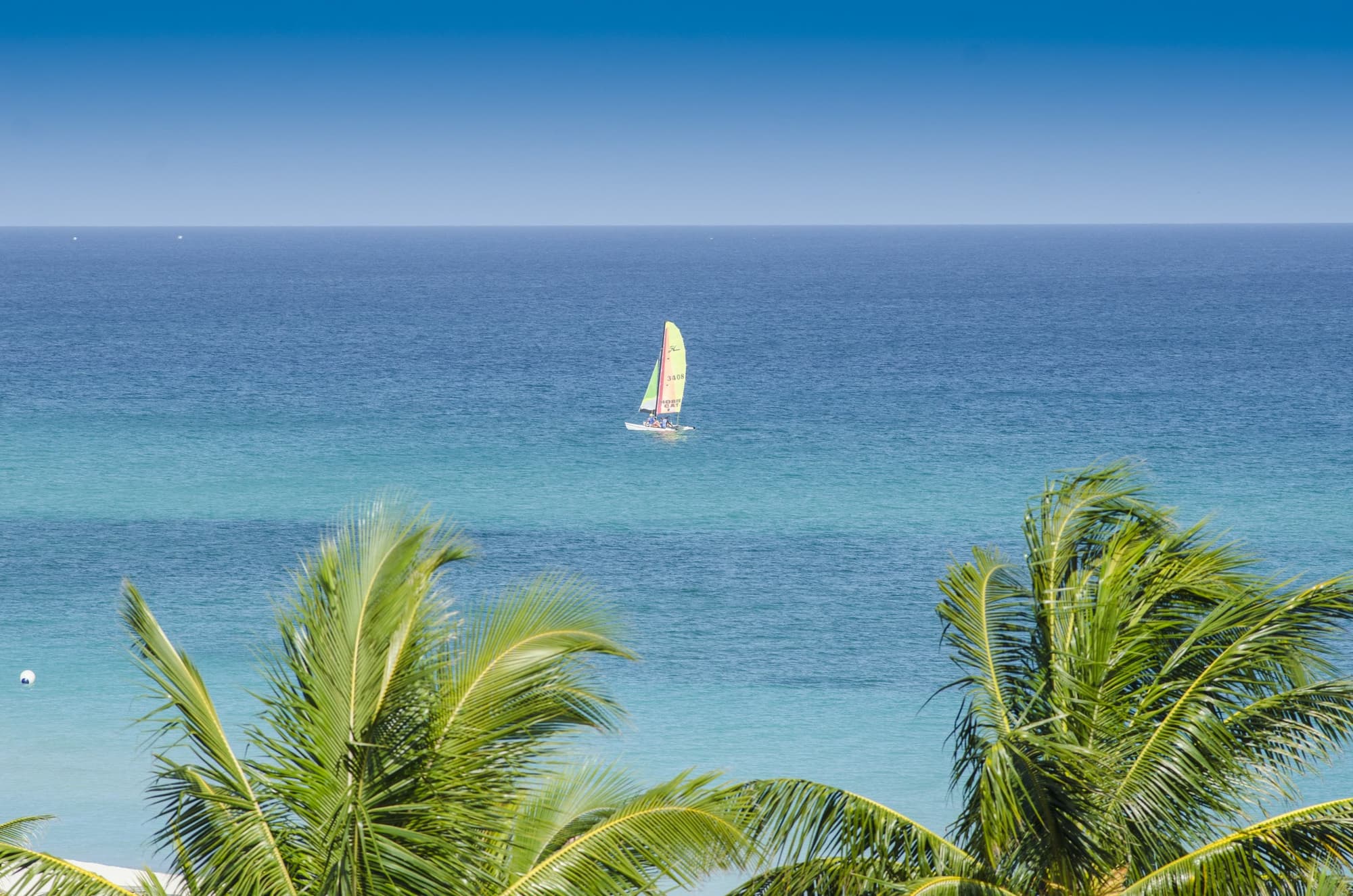 Hotel Los Cactus, General view