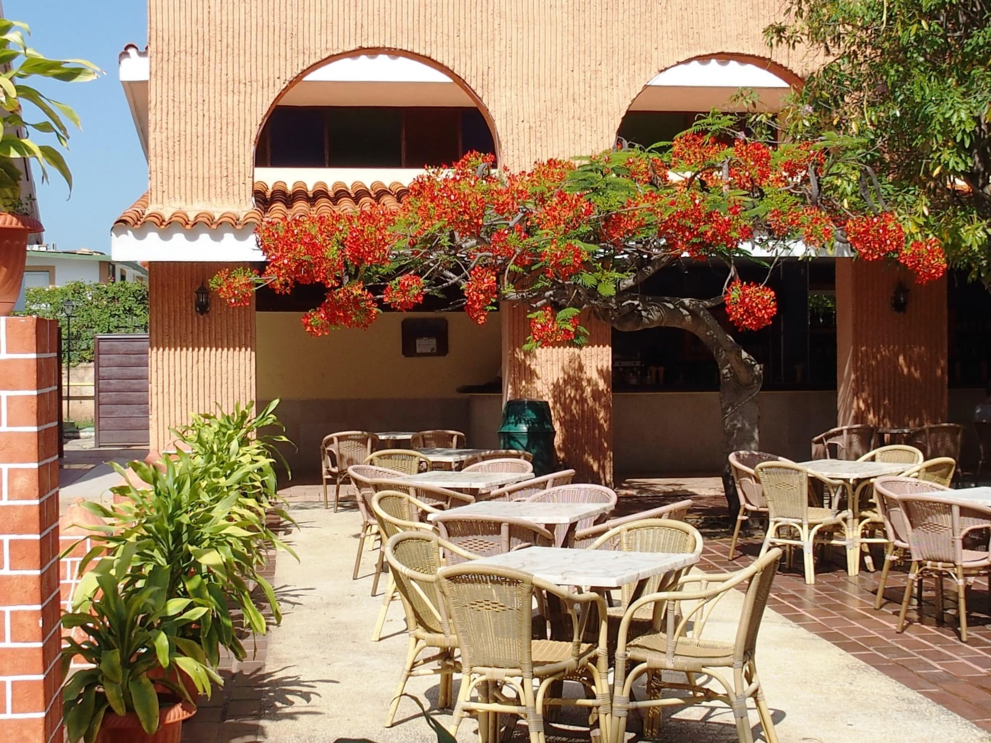 ROC Barlovento All Inclusive Only Adults, General view