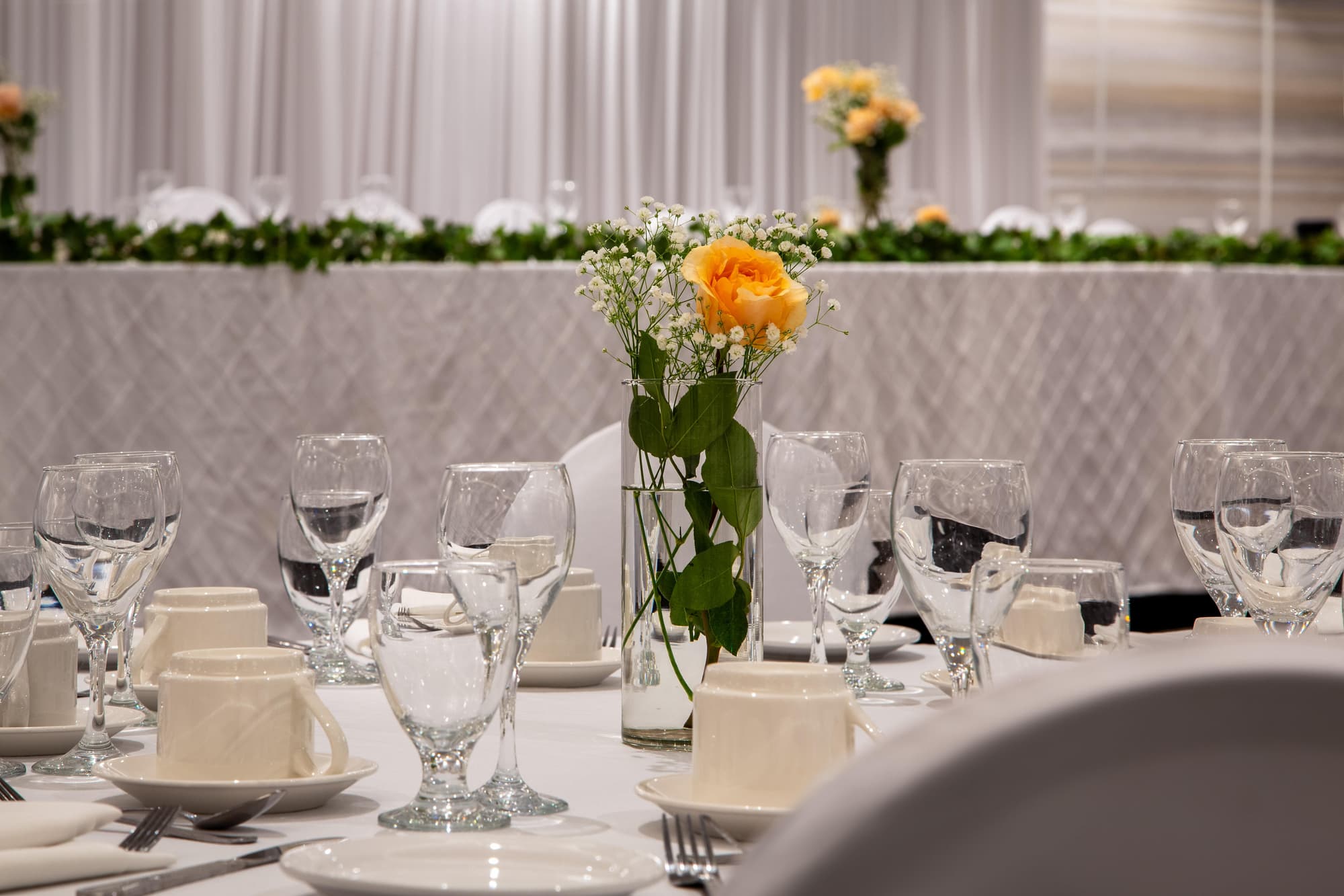 Holiday Inn Hotel and Suites St. Catharines Conf, Conferences