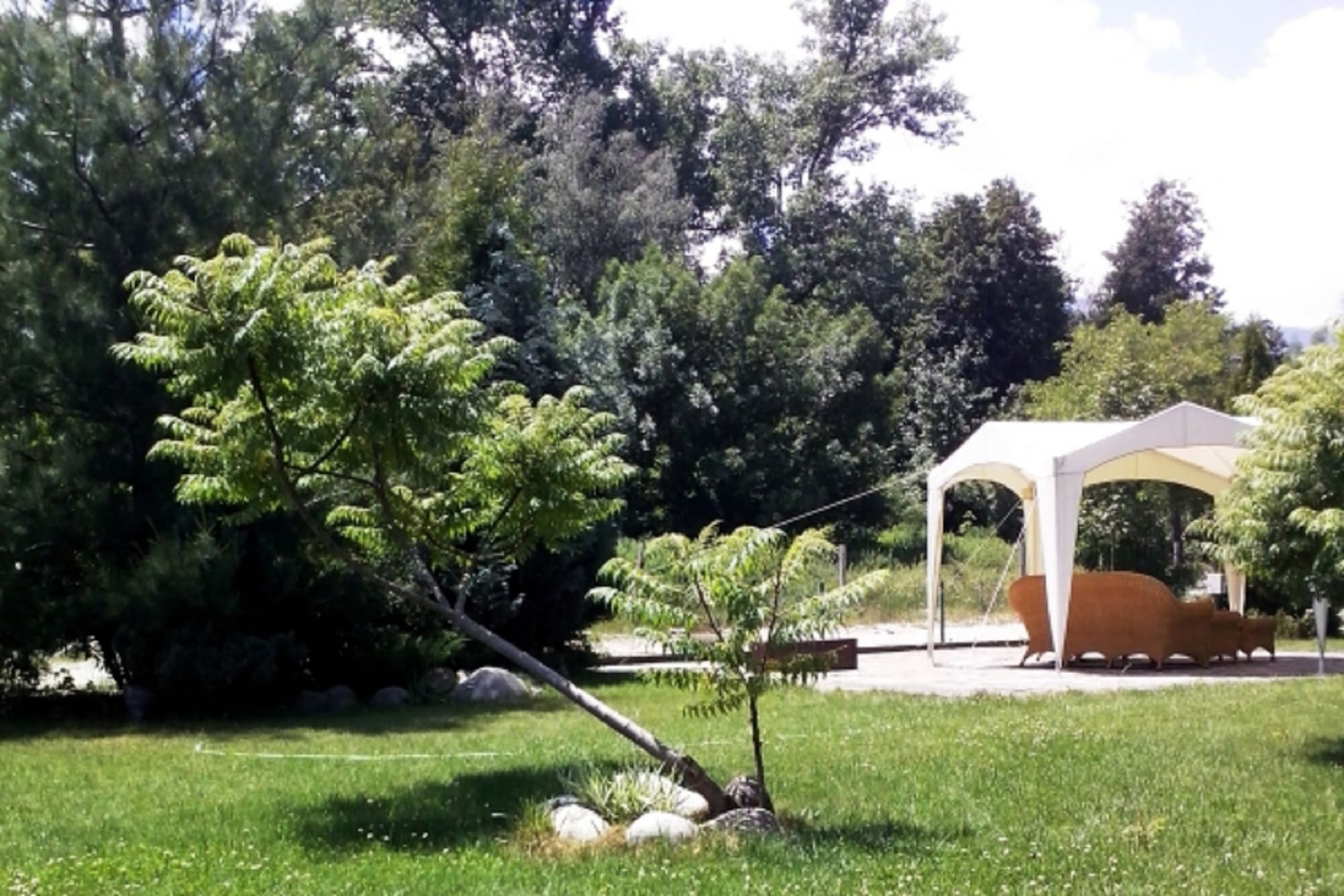 Hotel Orphey Bansko, General view