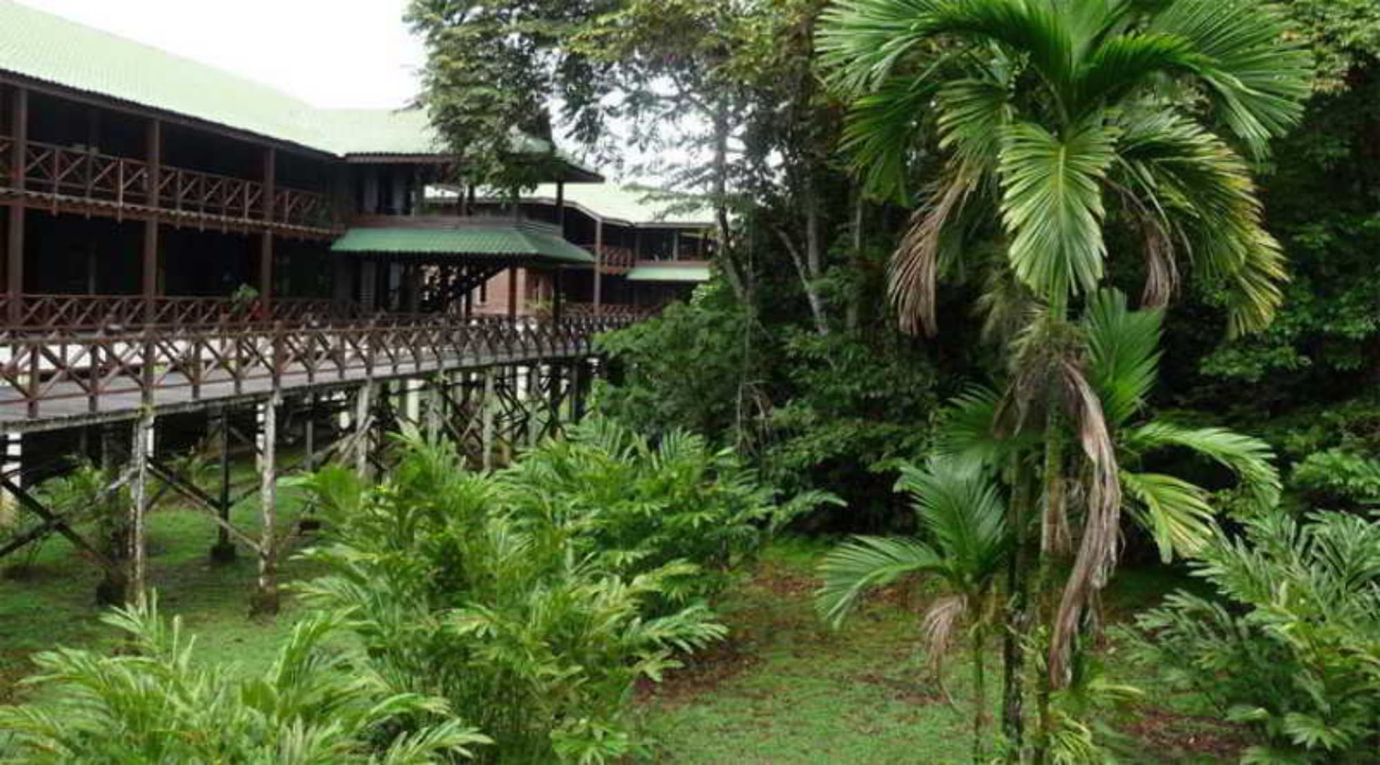 Mulu Marriott Resort, General view