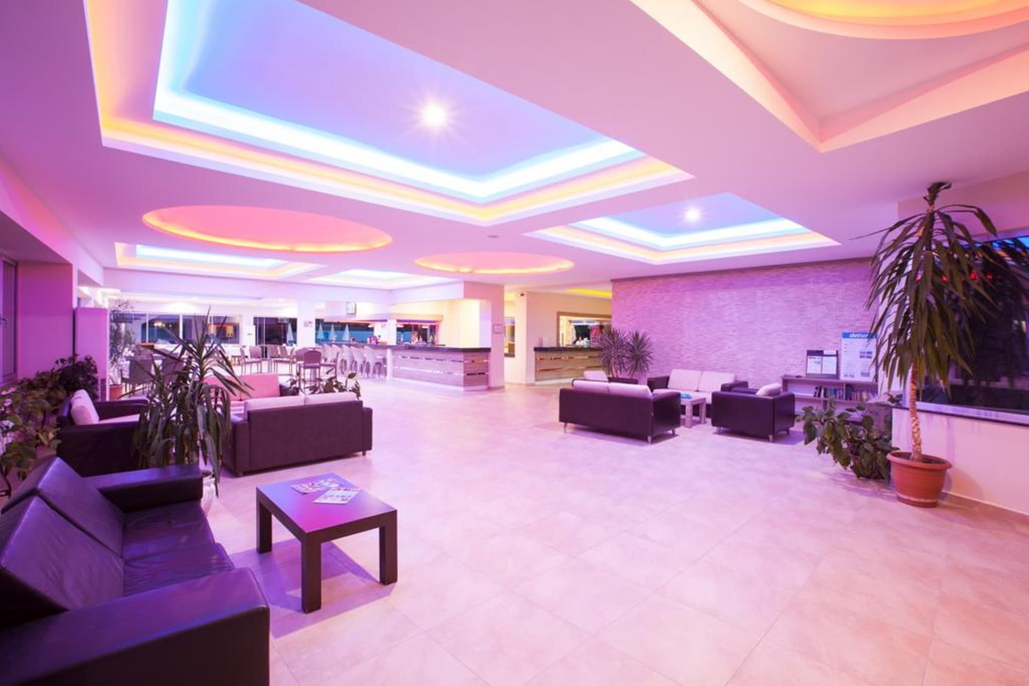 Hotel Catty Cats Garden, Lobby