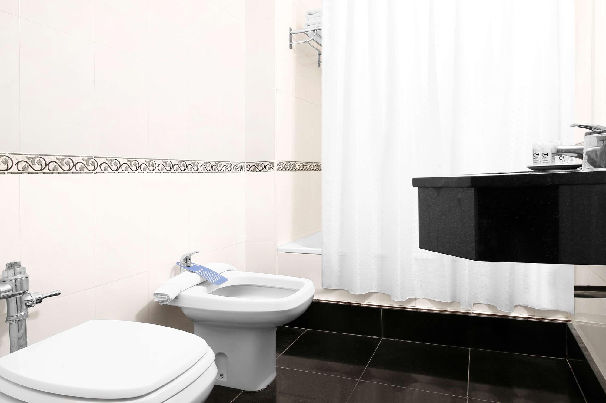 Cyan Hotel de las Americas, General view