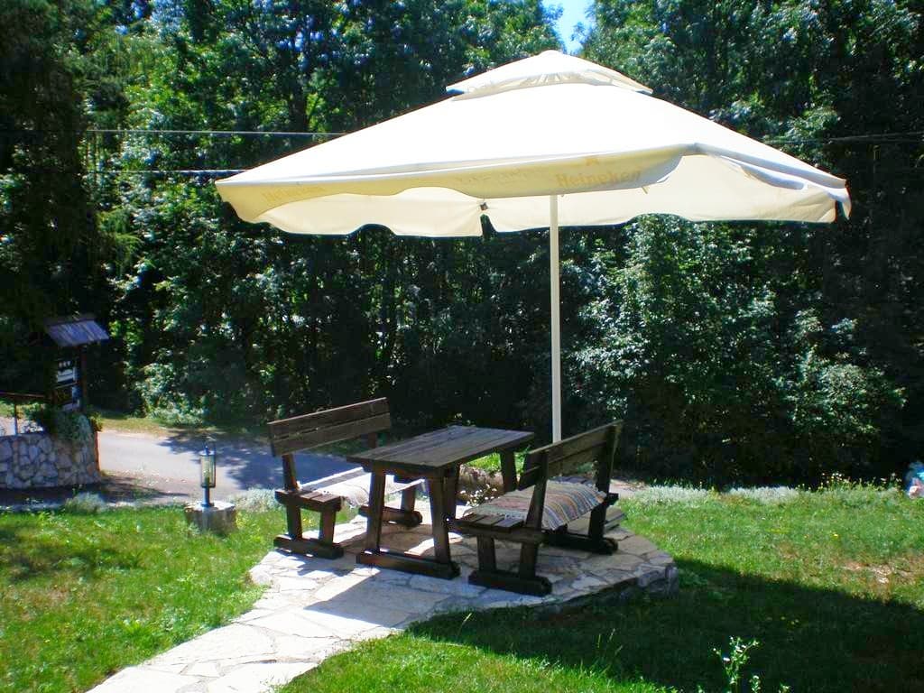 House Sankovic, Lobby