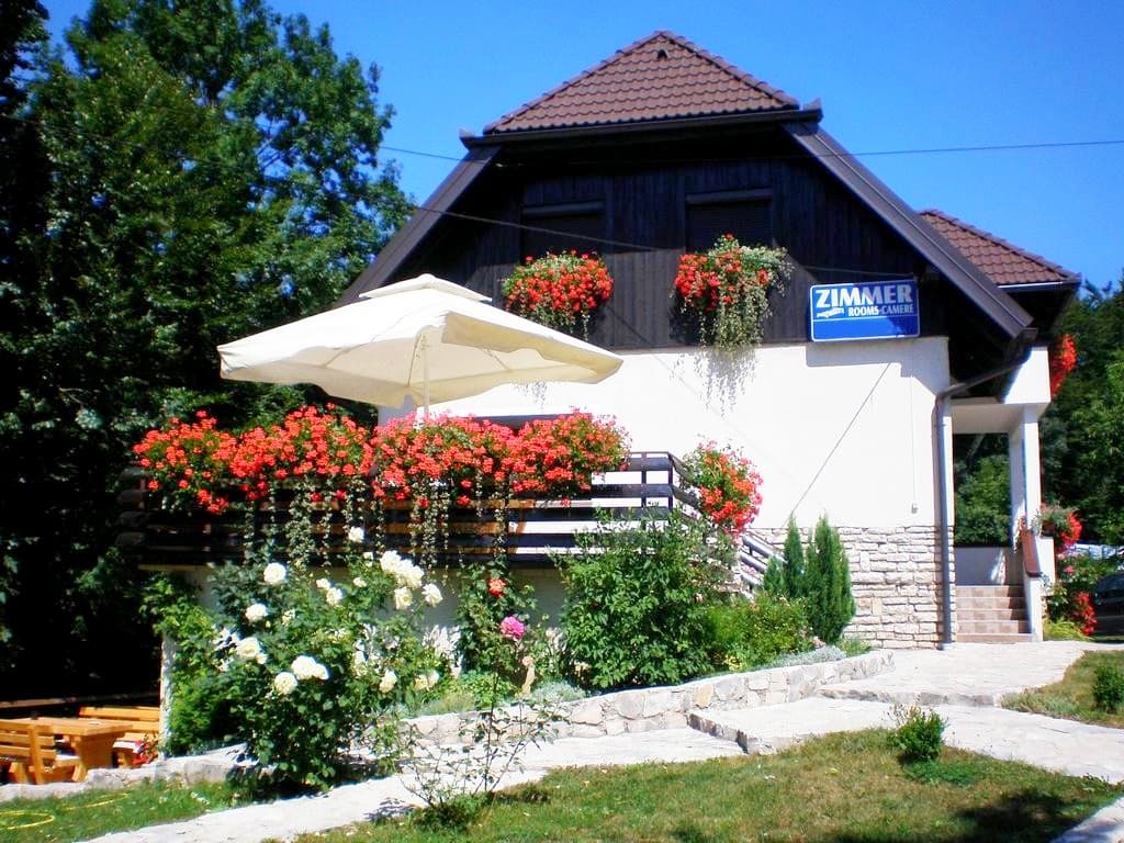 House Sankovic, Lobby