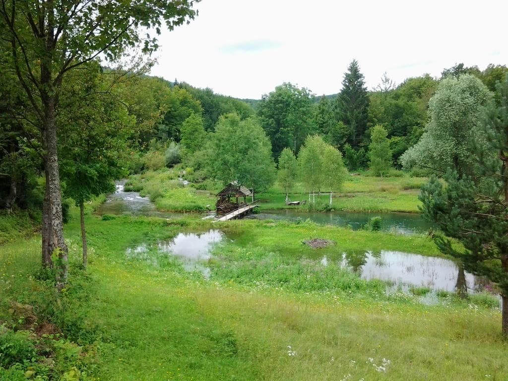 House Sankovic, Lobby