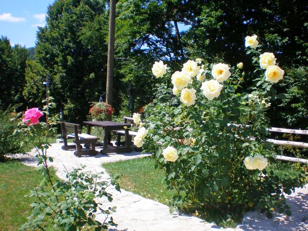 House Sankovic, Lobby