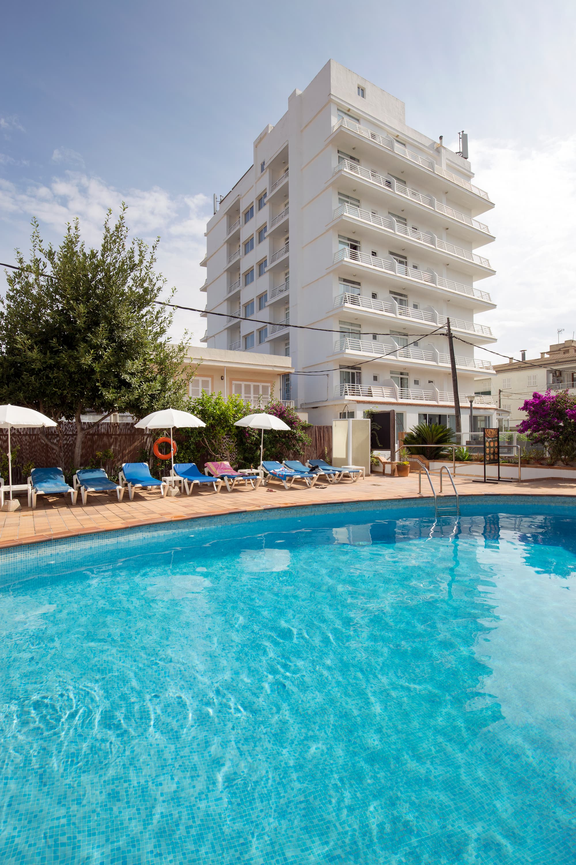 Sultan, General view