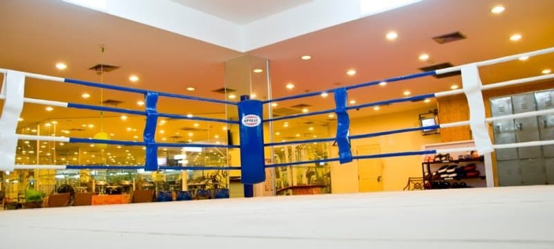 Buddy Lodge, Sports and Entertainment