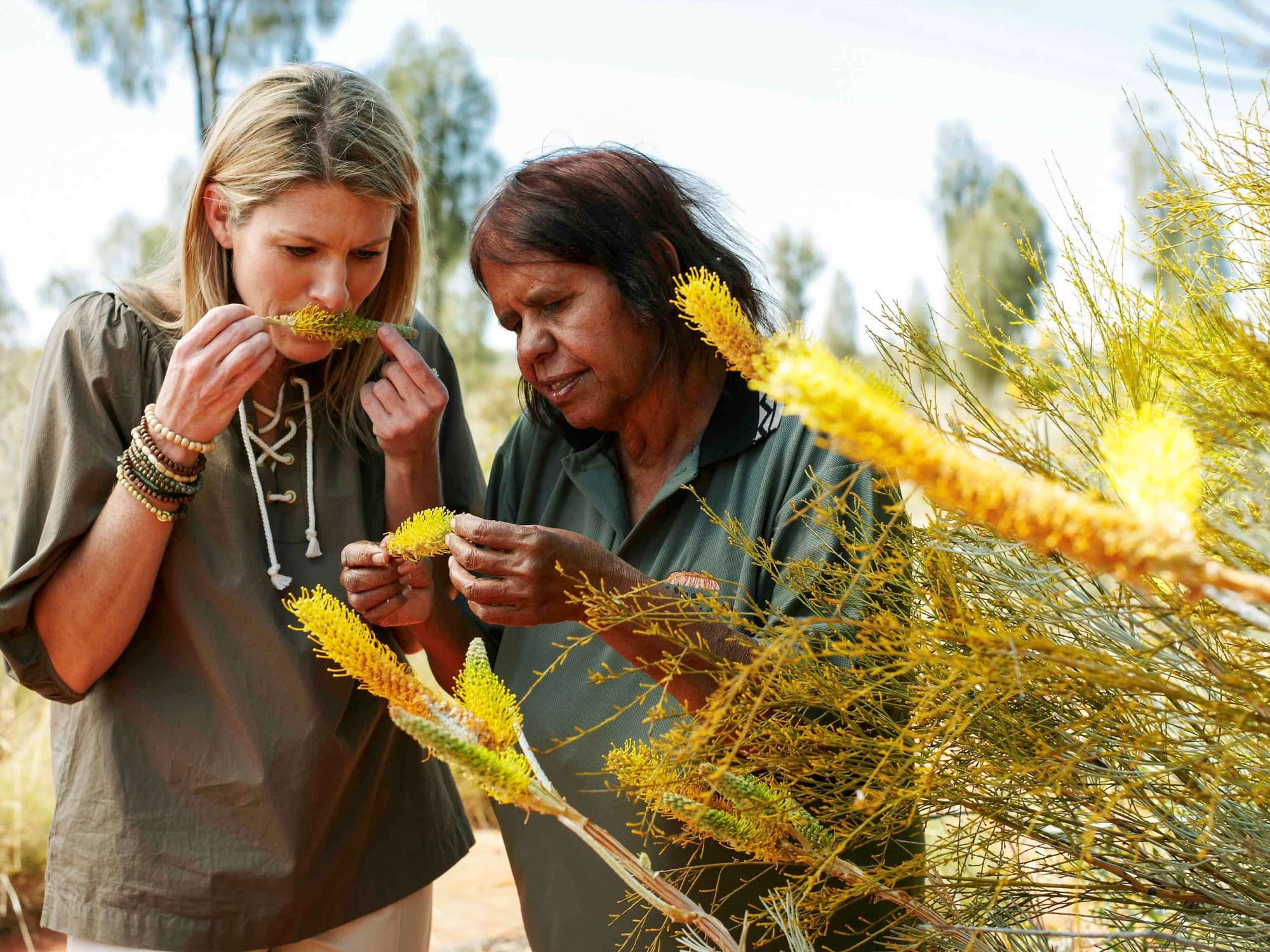 The Lost Camel Hotel by Voyages, Sports and Entertainment