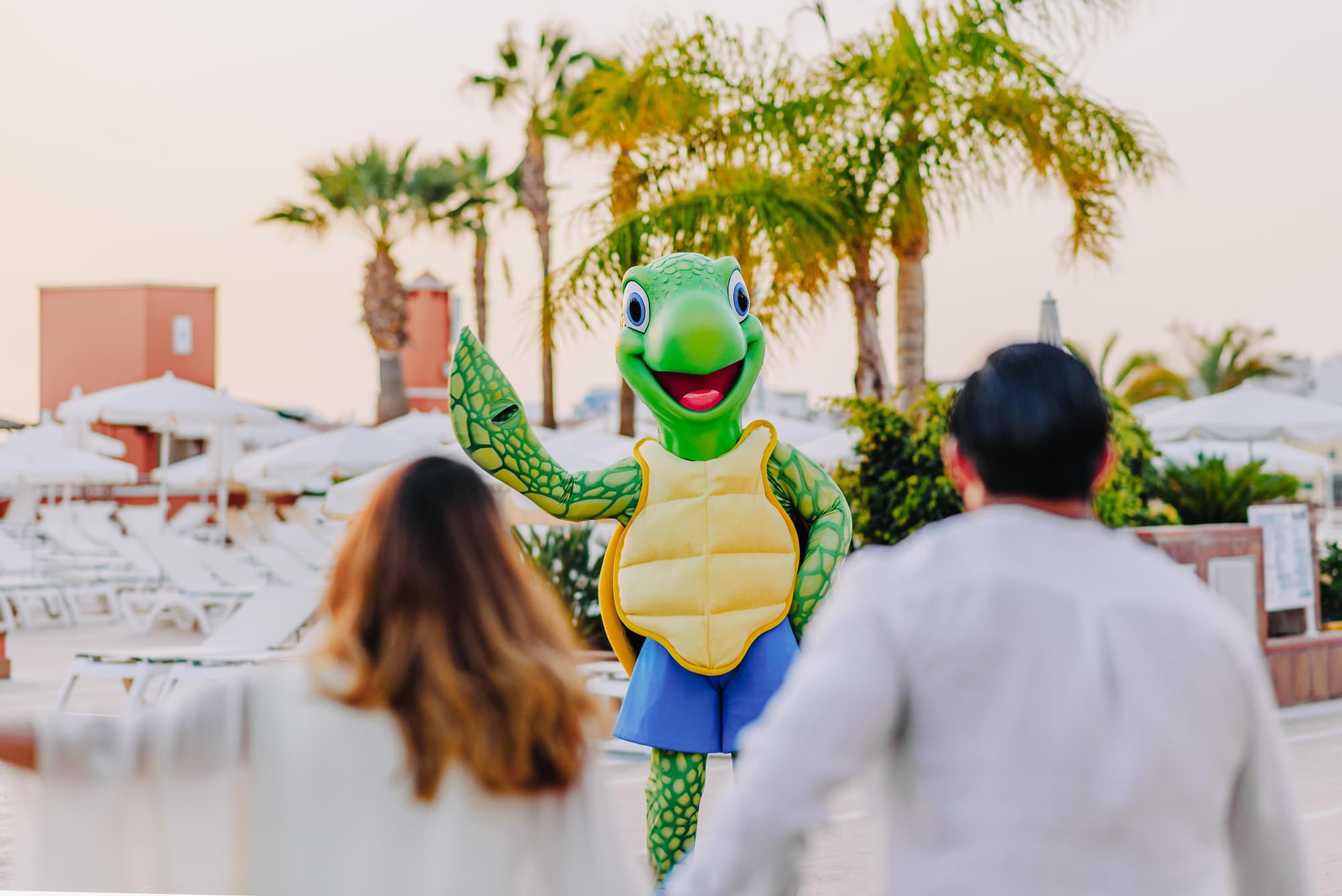 Landmar Costa Los Gigantes Family Resort, Sports and Entertainment