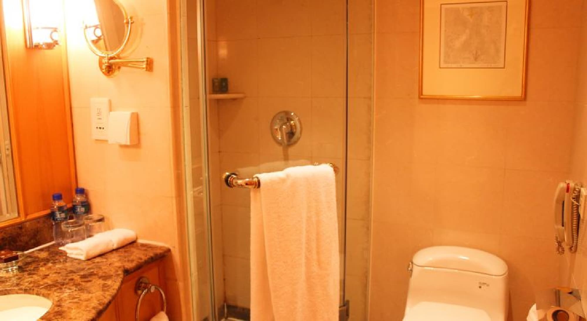 Presidential Plaza Hotel Beijing, Room