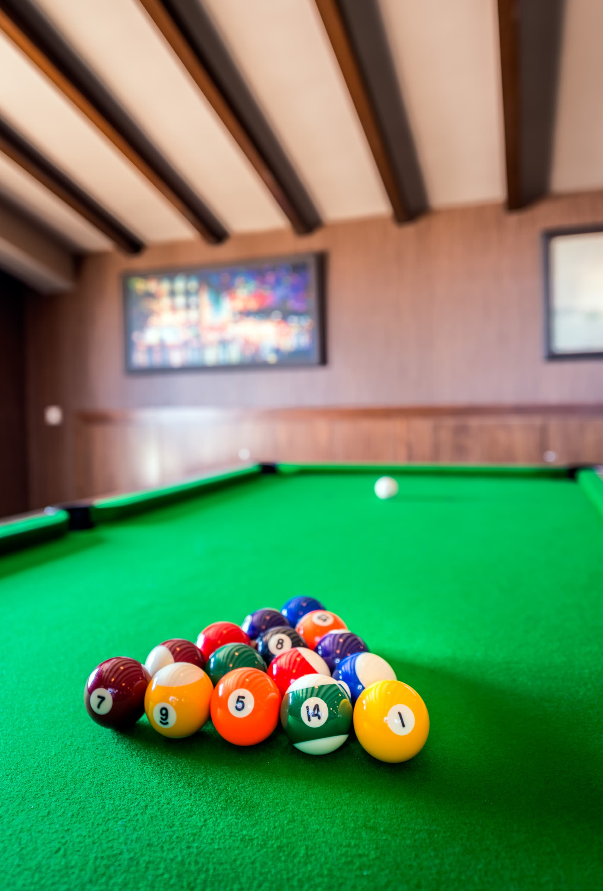 Olive Tree Hotel, Sports and Entertainment