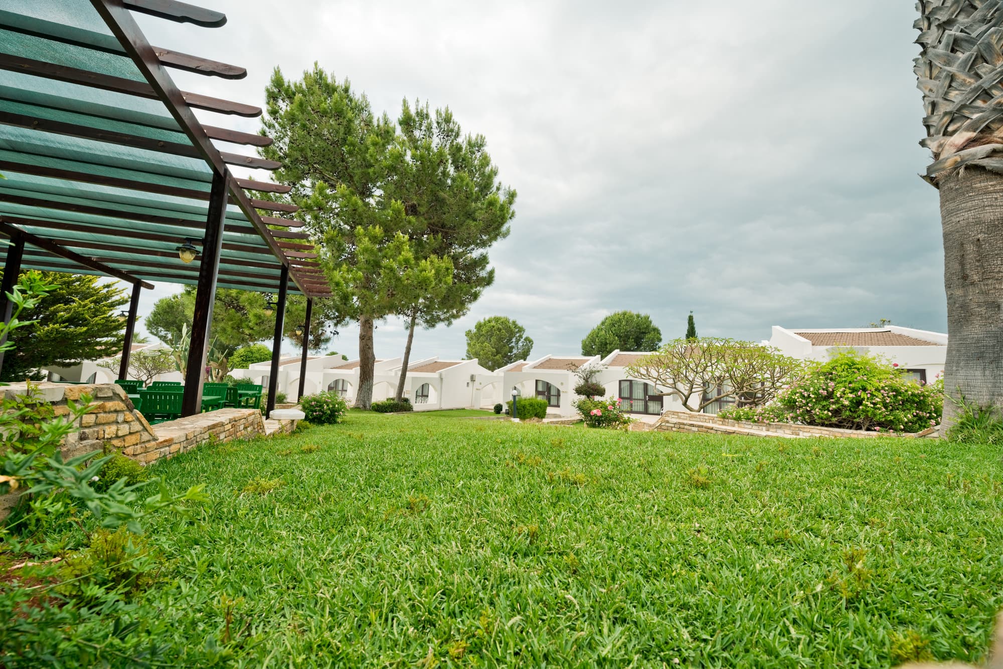 Olive Tree Hotel, Pool