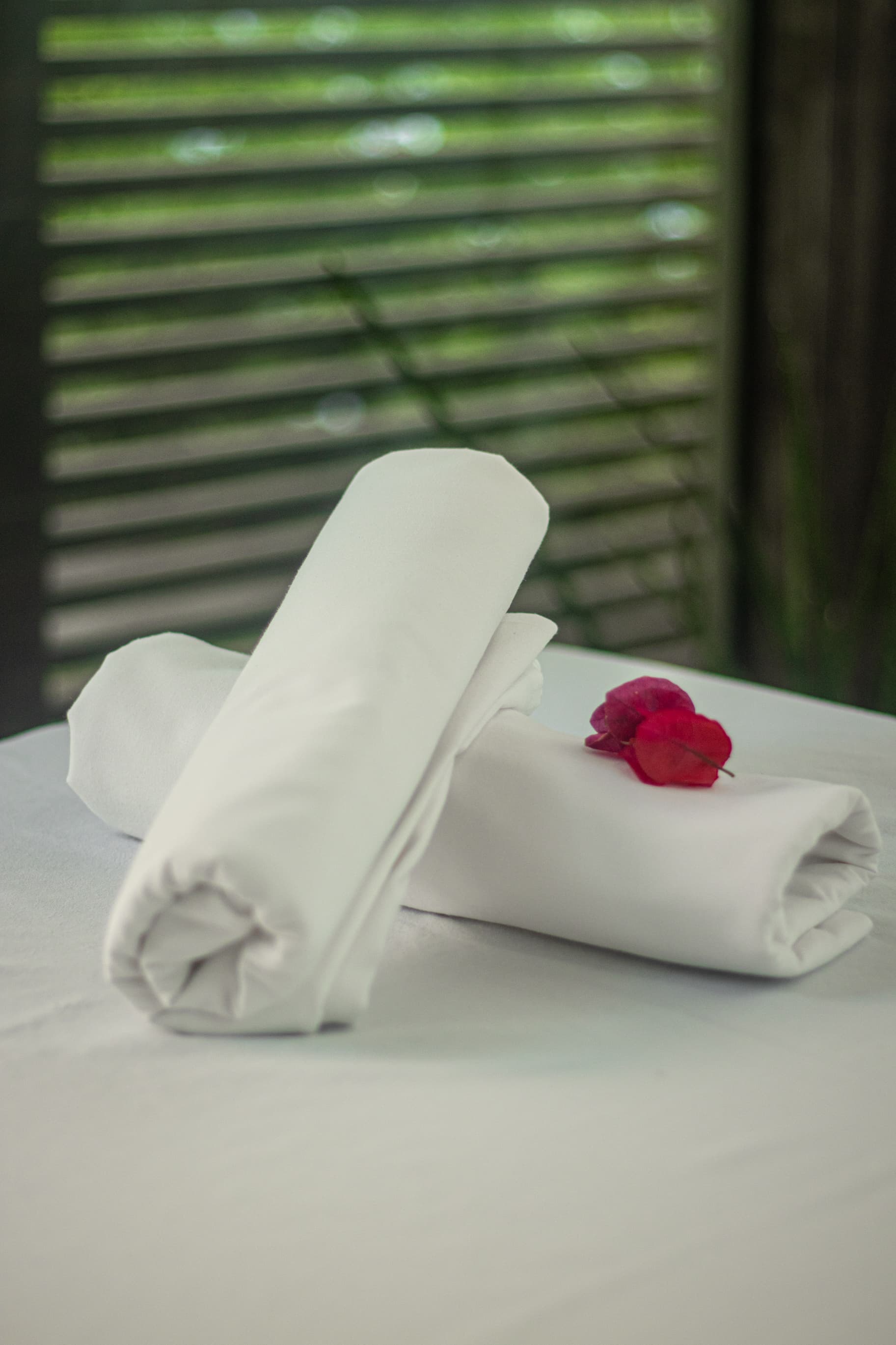 Serena Buzios, Sports and Entertainment