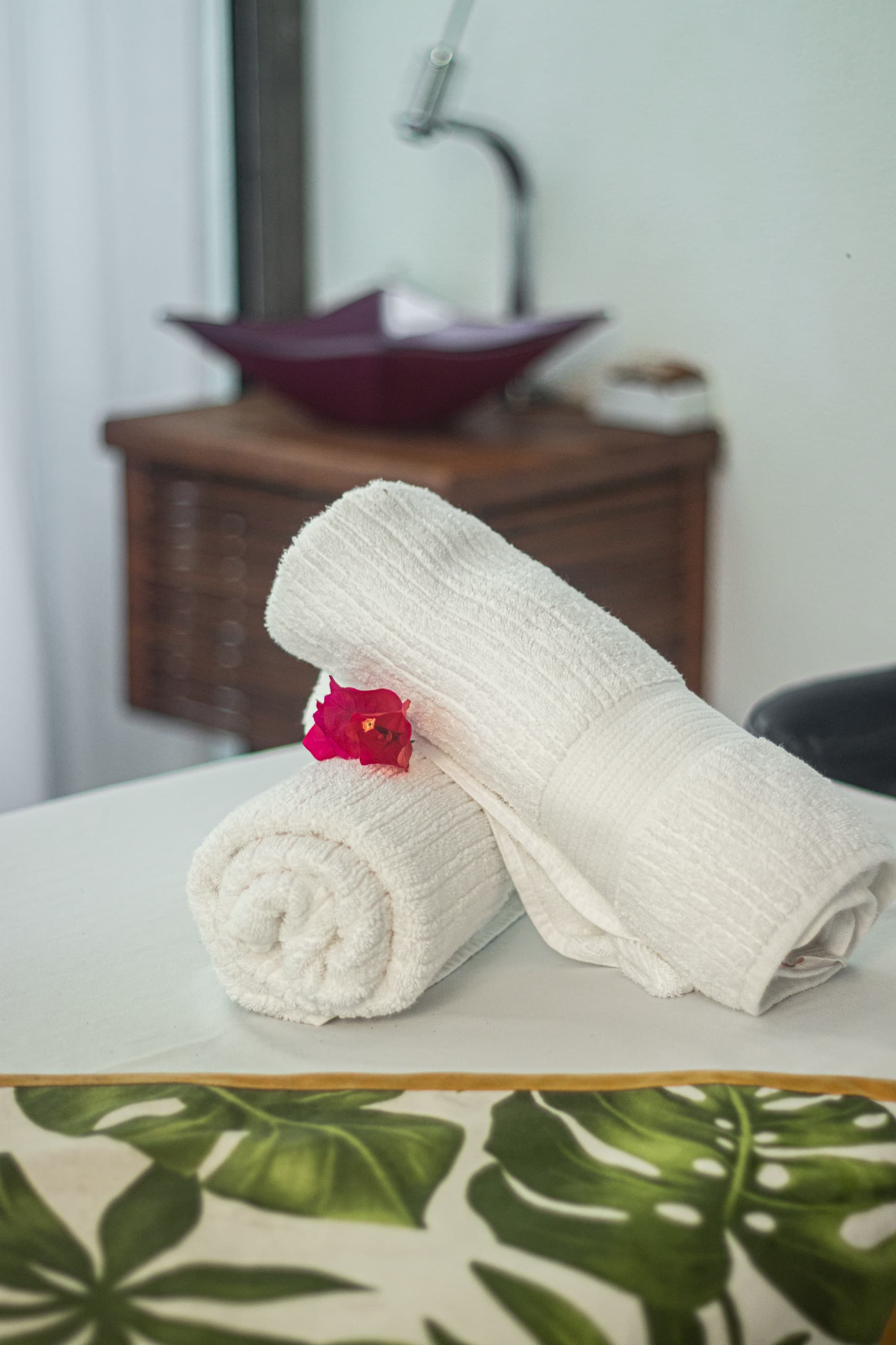 Serena Buzios, Sports and Entertainment