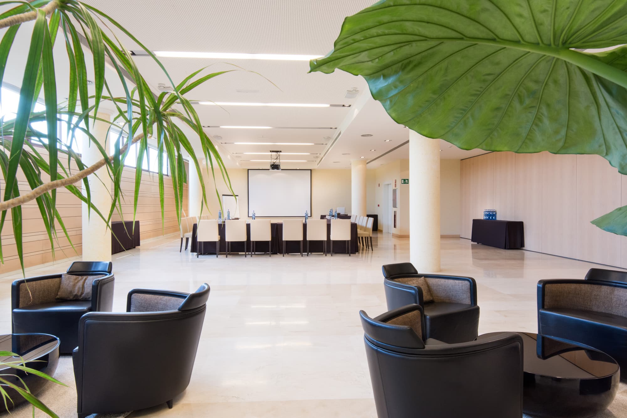 Mas Sola, Conferences