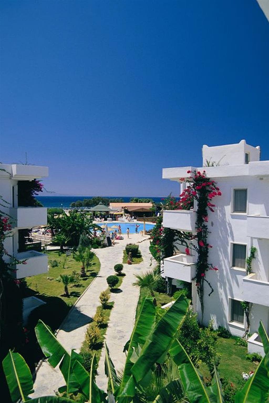 Bendis Beach, General view