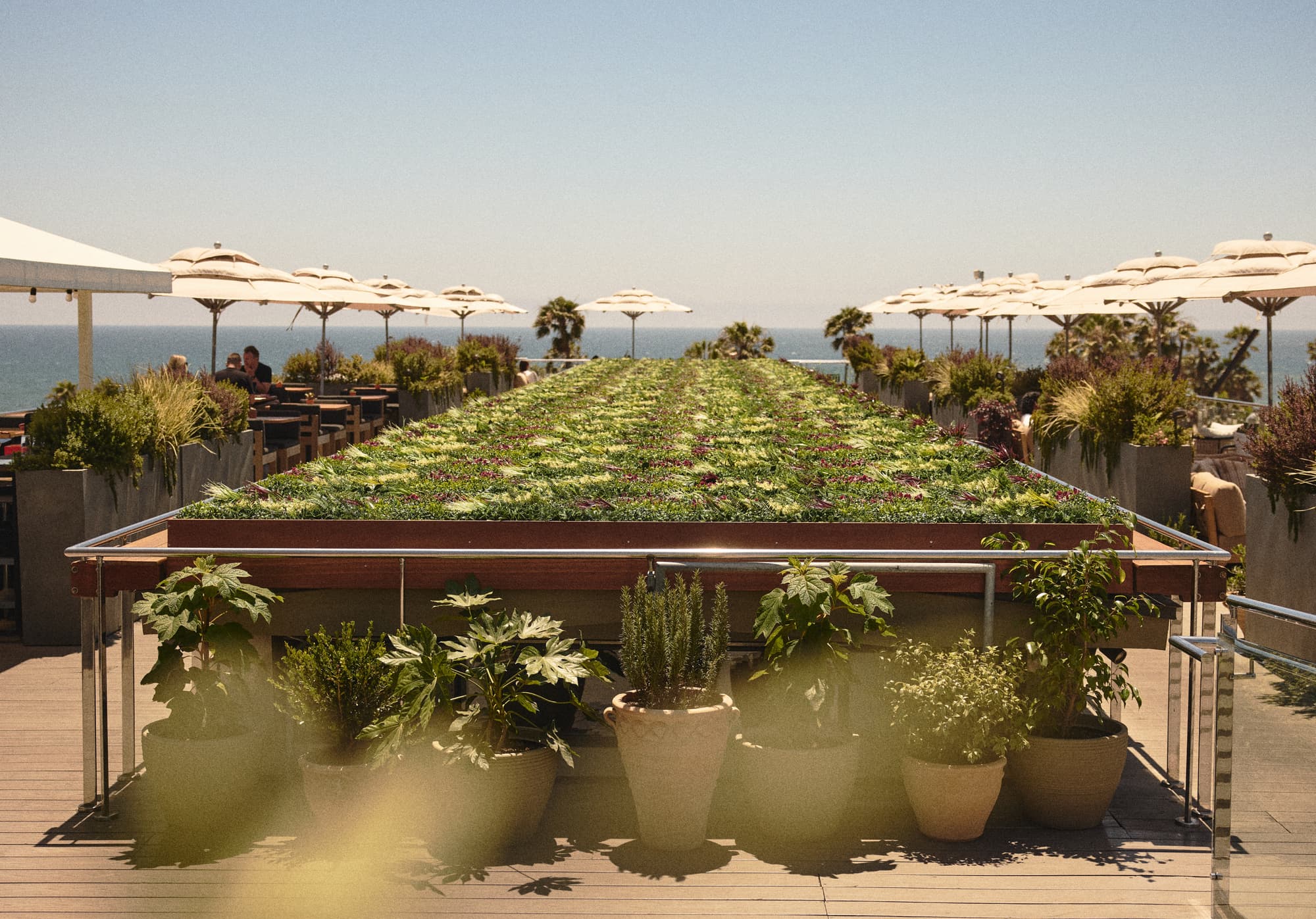 Hotel Erwin, Restaurant