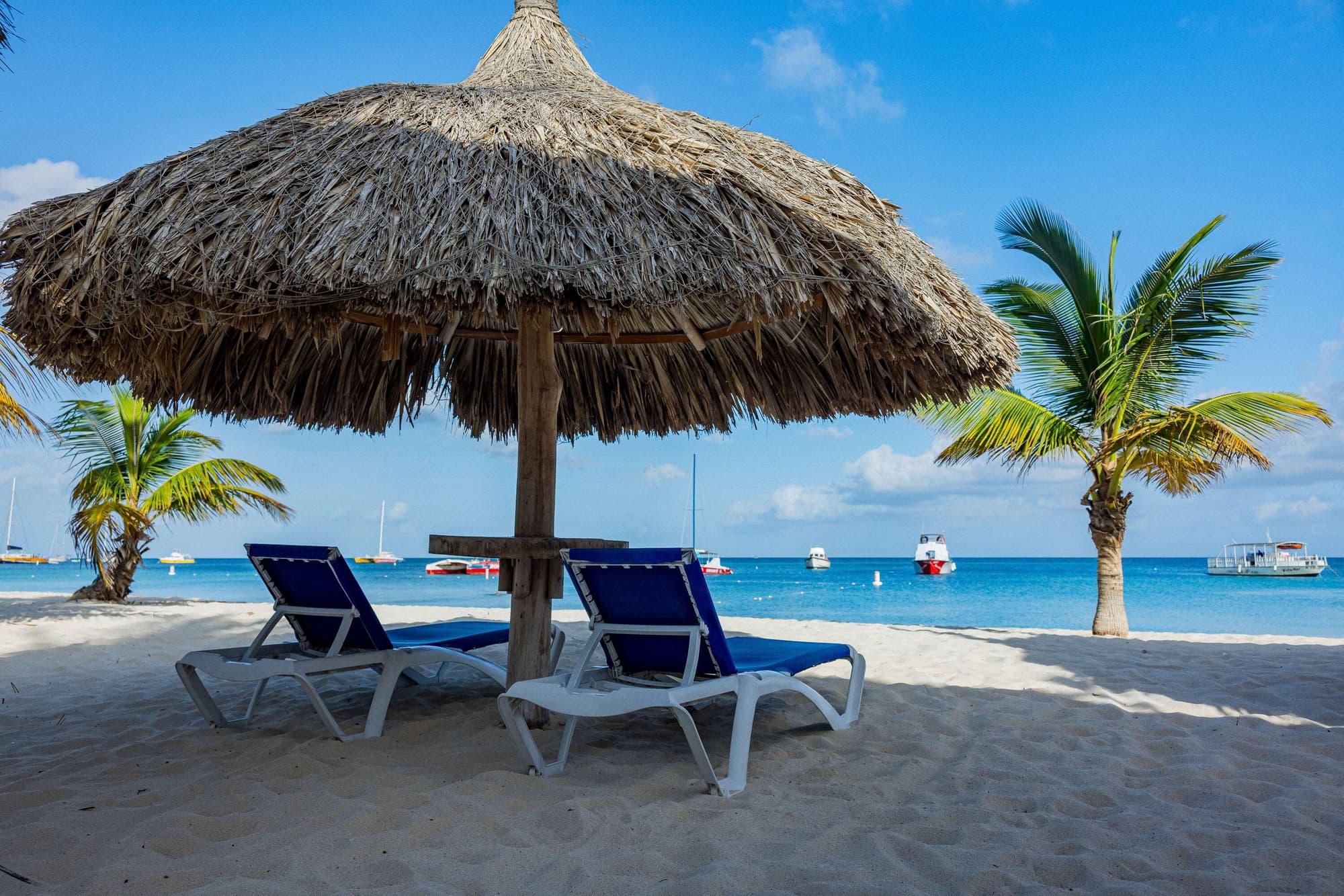 TRYP by Wyndham Aruba Adults Only Hotel, General view